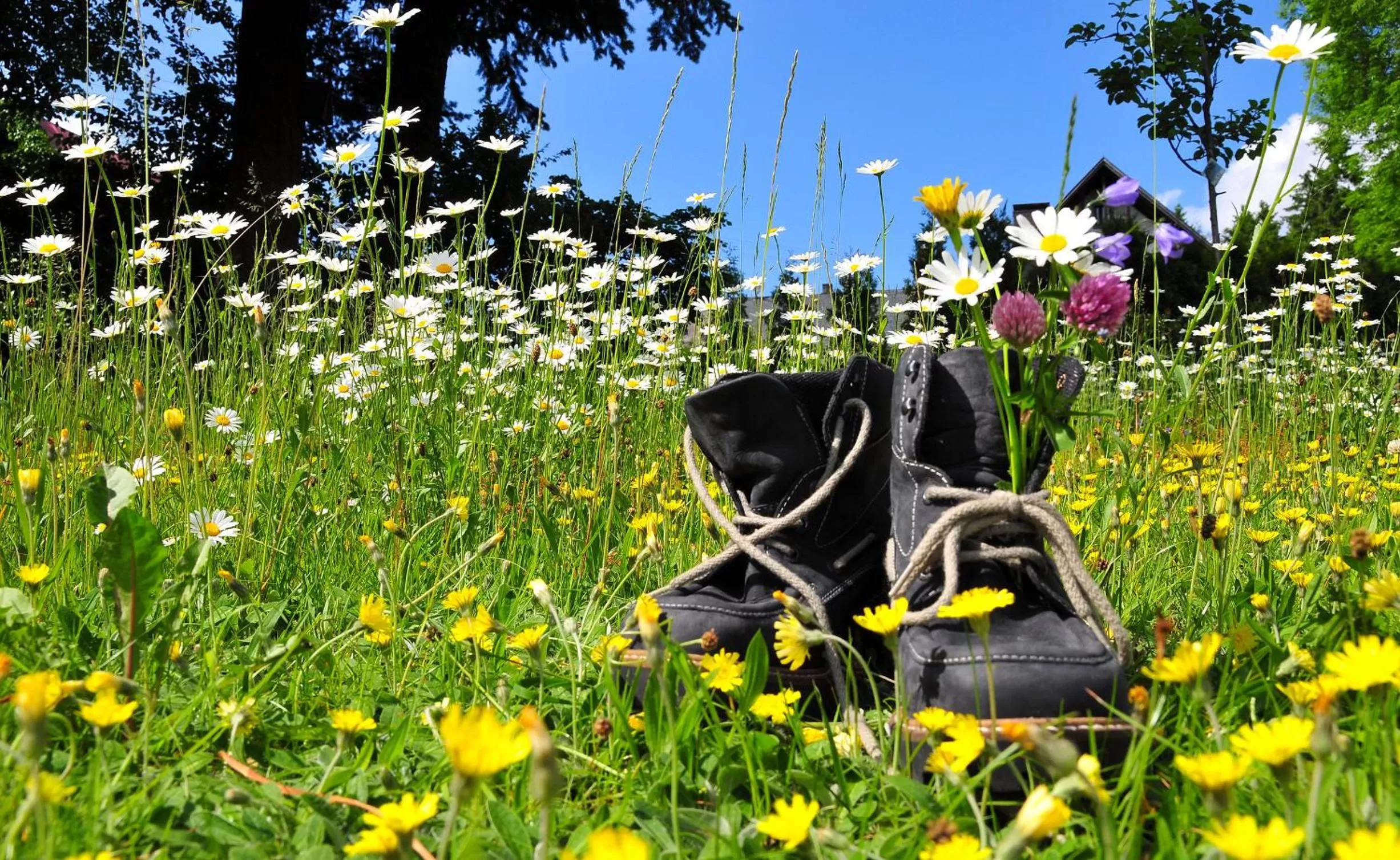 Spring in Hotel Zum Schneekopf "Garni"