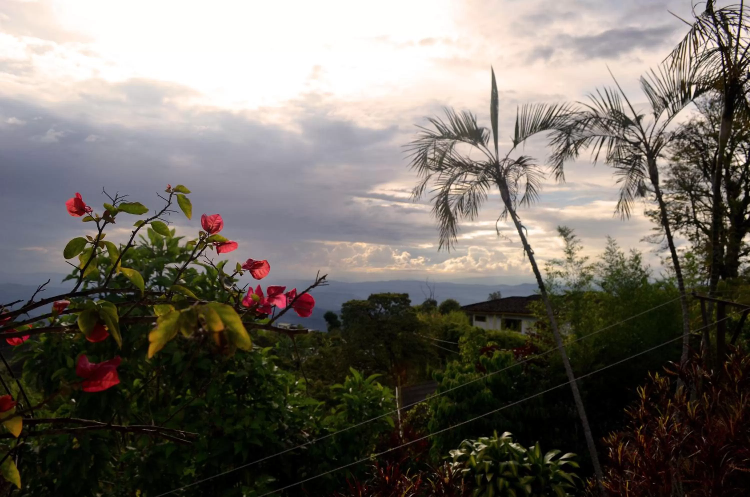 Facade/entrance in Eco Lodge La Juanita