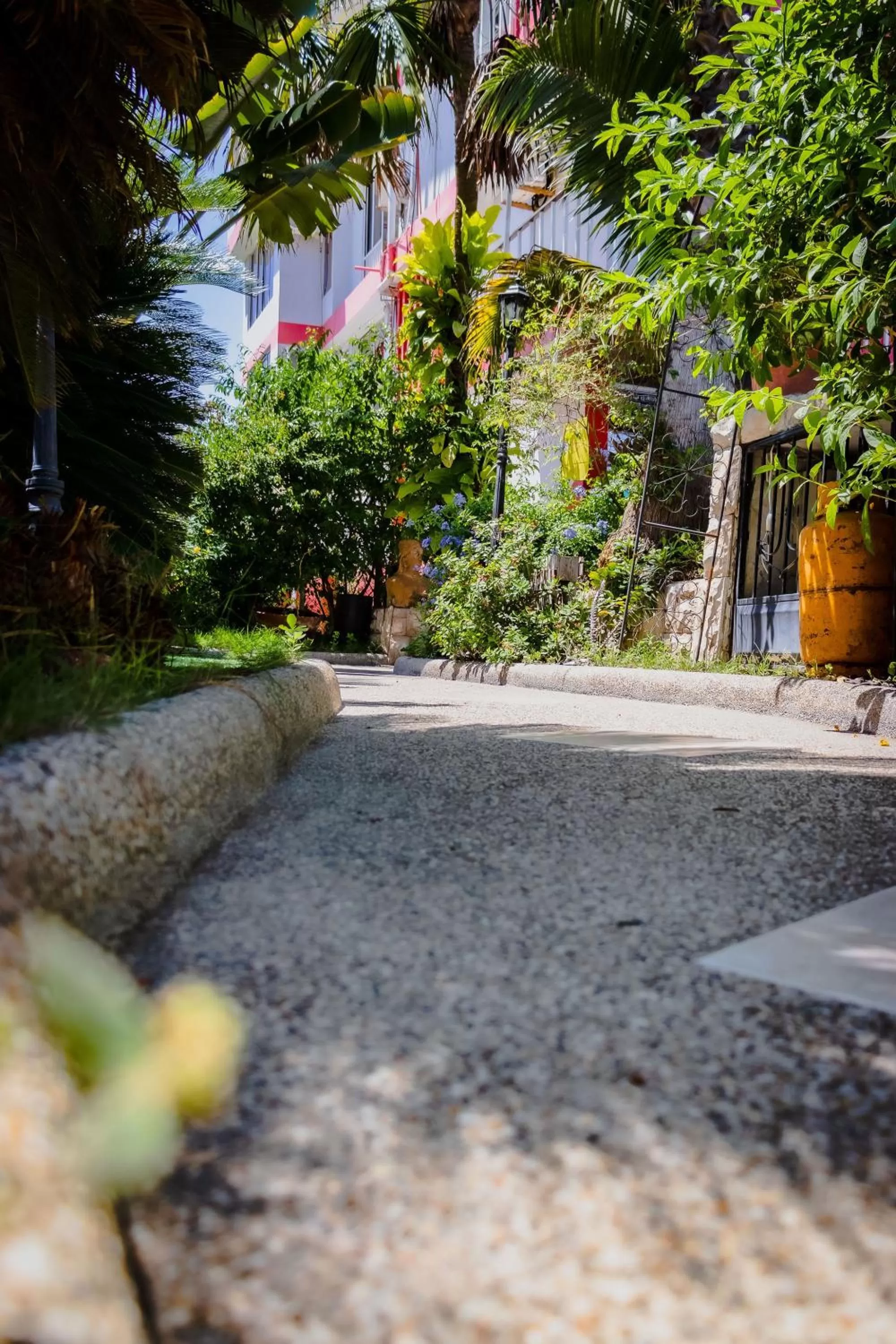 Beach in Hostal Antares