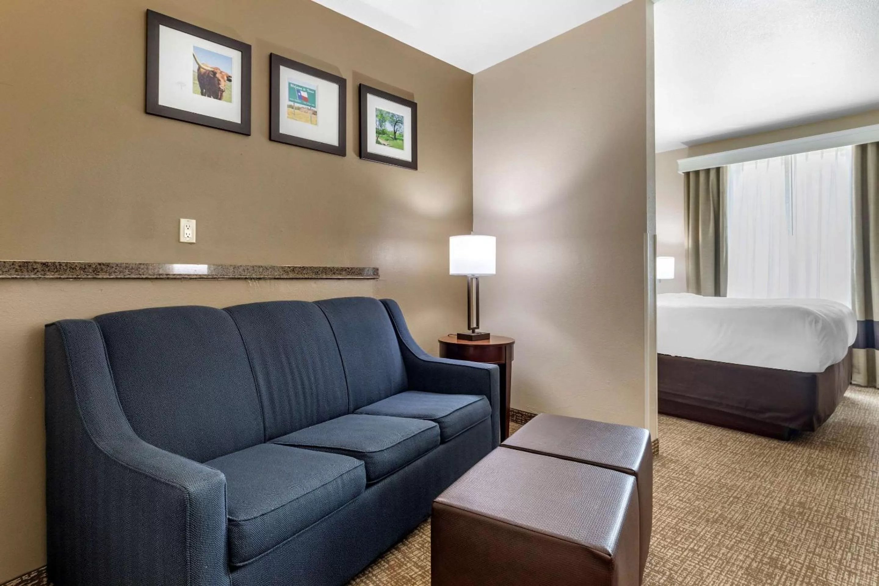 King Suite First Floor - Accessible/Non-Smoking in Comfort Suites Plano - Dallas North