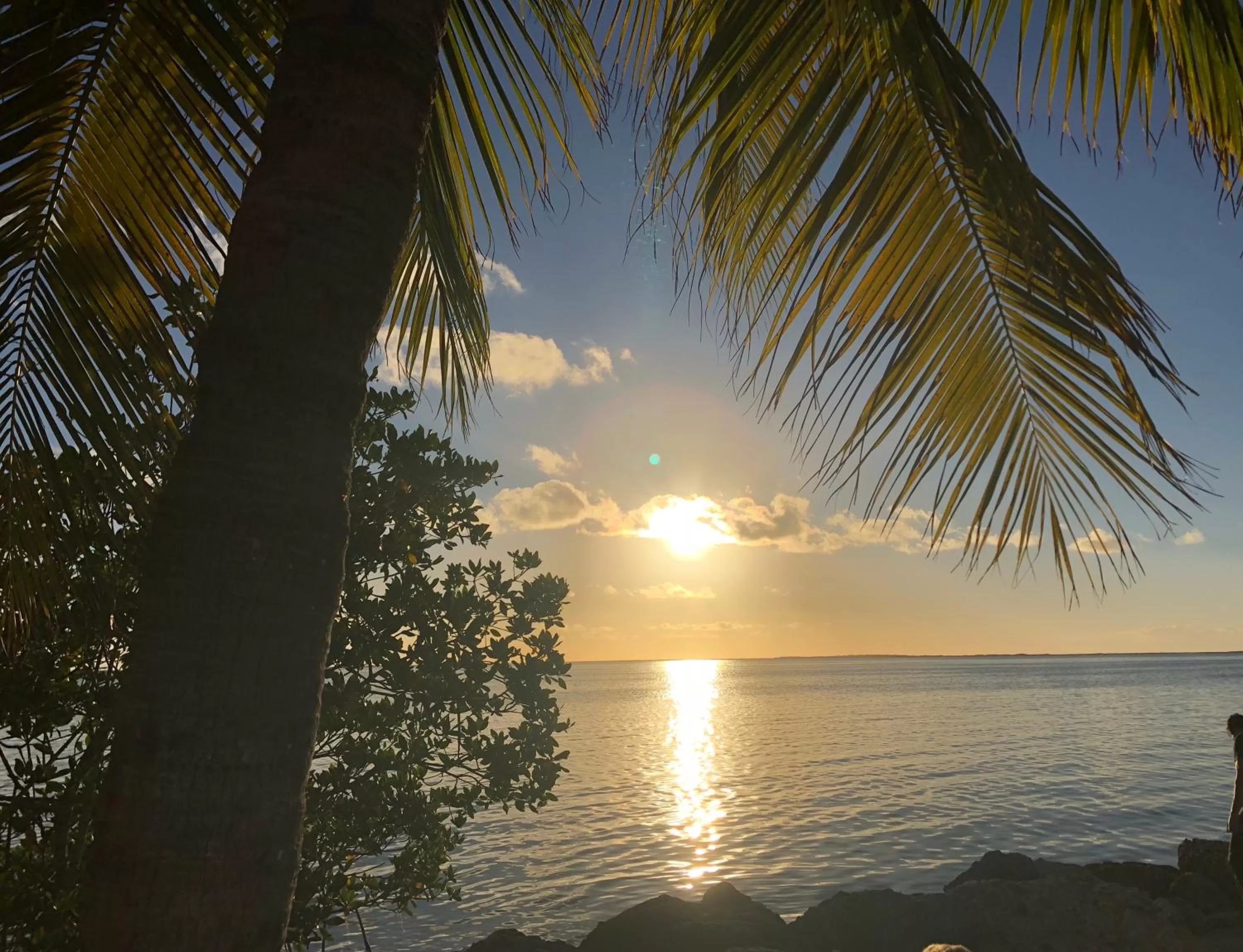 Beach in Gilbert's Resort & Marina