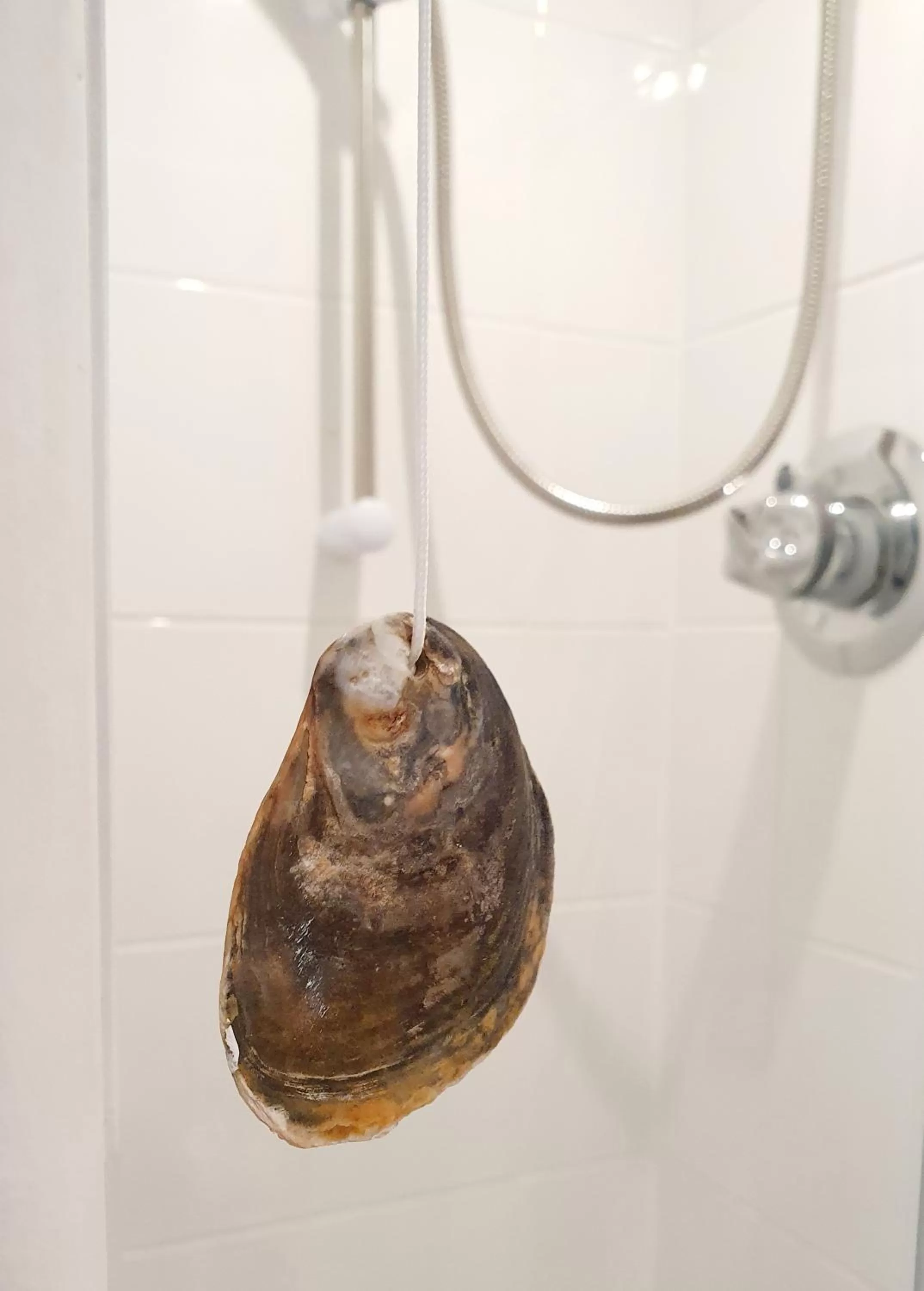 Internal: Not applicable to any particular room in Lyndale Guest House