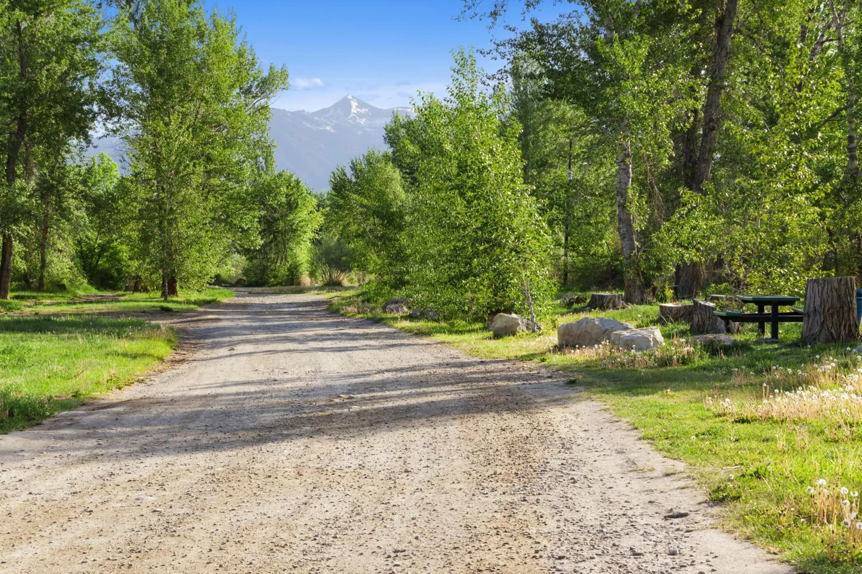 Day in Super 8 by Wyndham Salmon