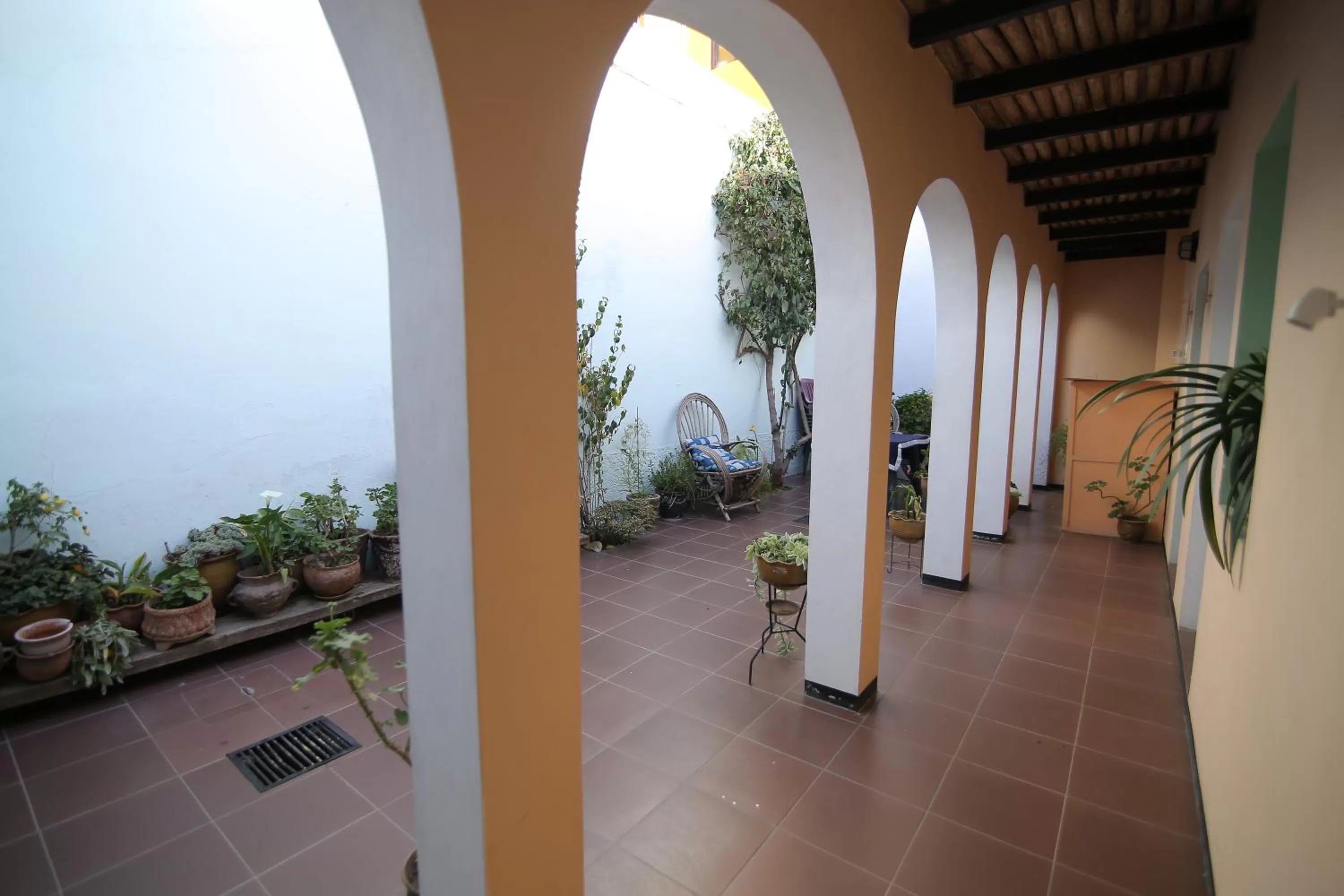 Patio/Outdoor Area in Casa Verde B&B