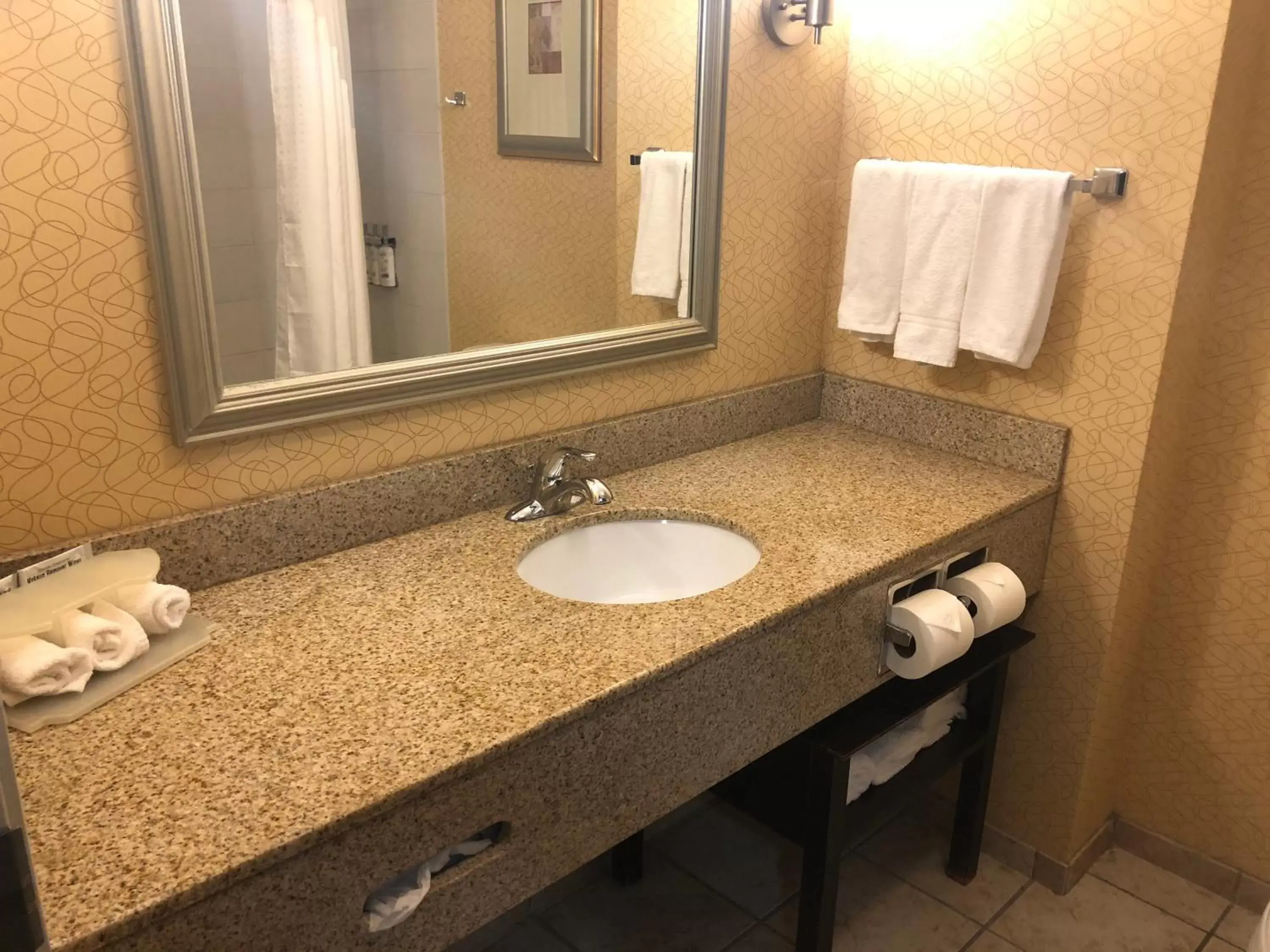 King Room - Hearing Accessible - Non-Smoking in Holiday Inn Express Hotel & Suites Lansing-Dimondale by IHG King Room - Hearing Accessible - Non-Smoking in Holiday Inn Express Hotel & Suites Lansing-Dimondale by IHG