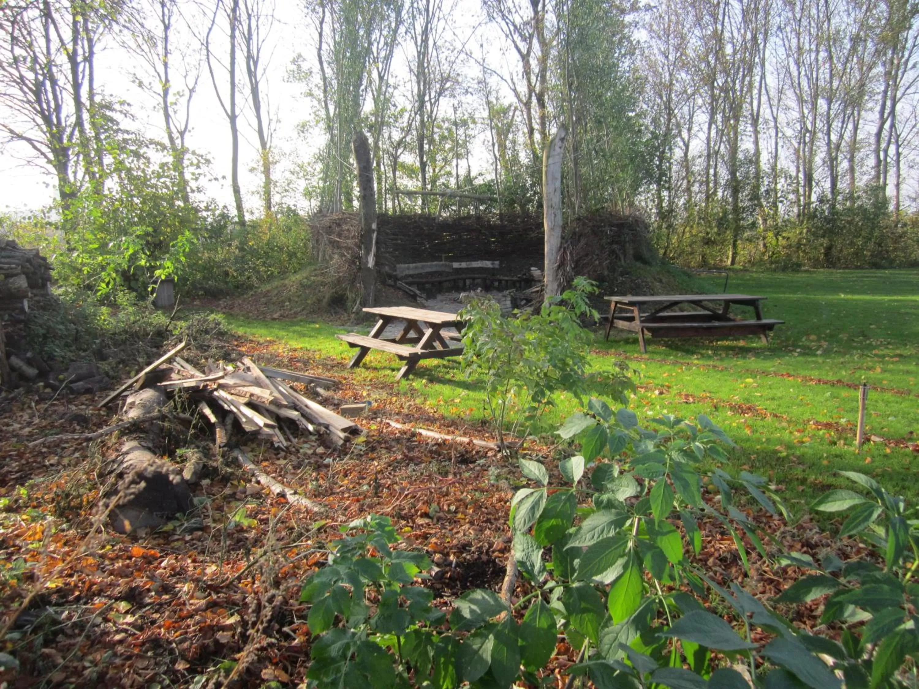 Area and facilities in De Sternhof