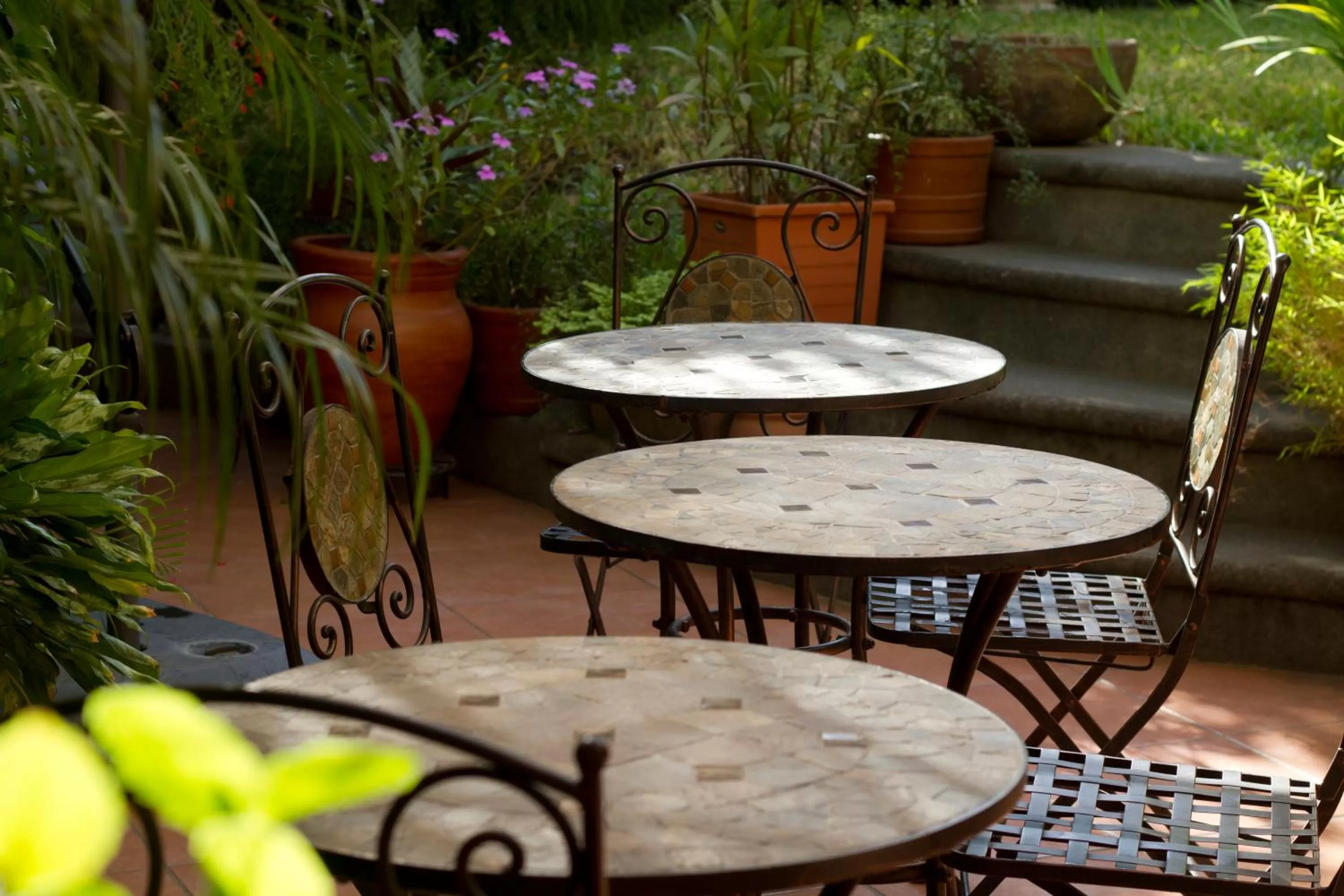 Patio in Hotel Colibri