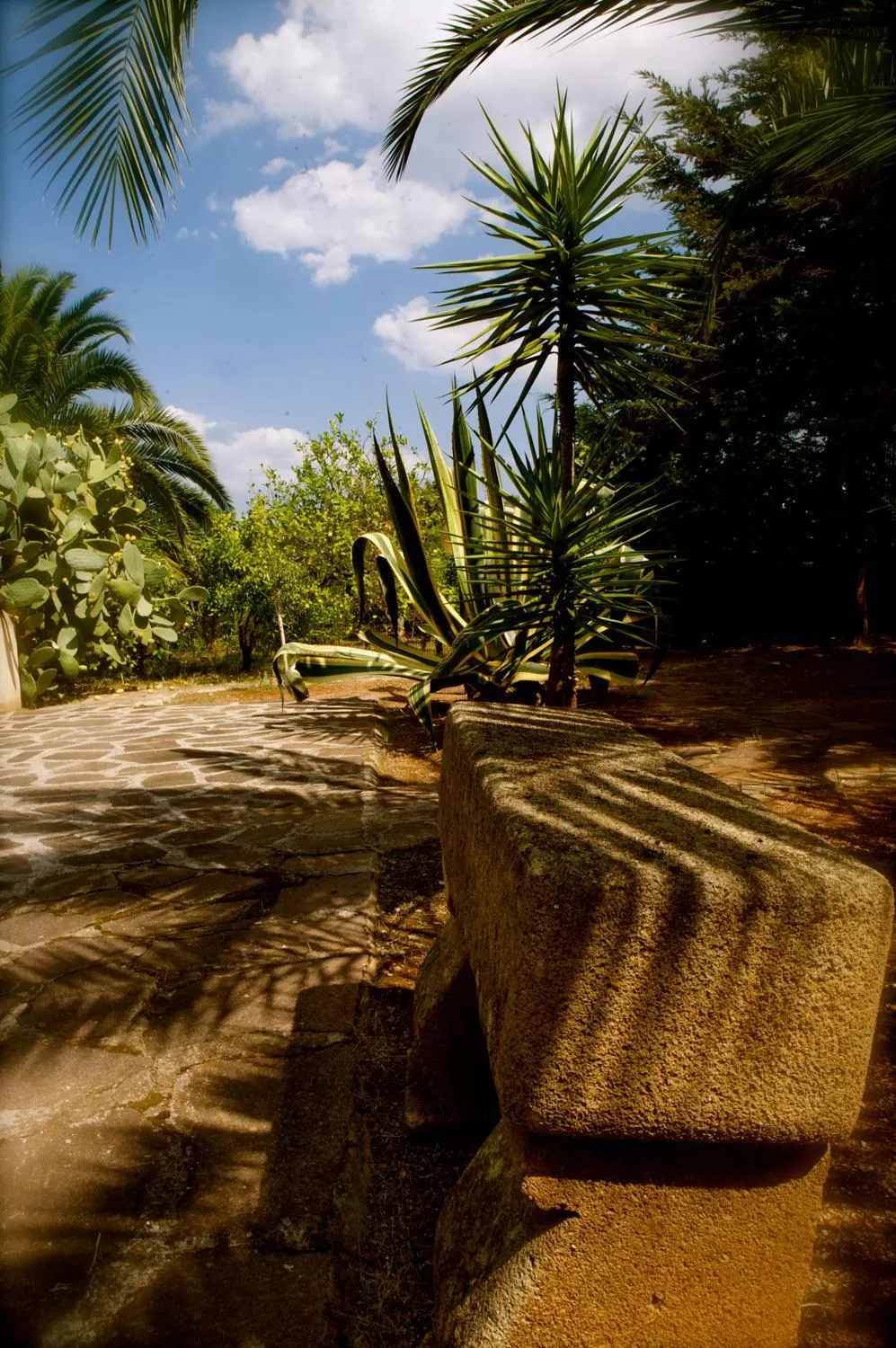 Garden in Villa Franca