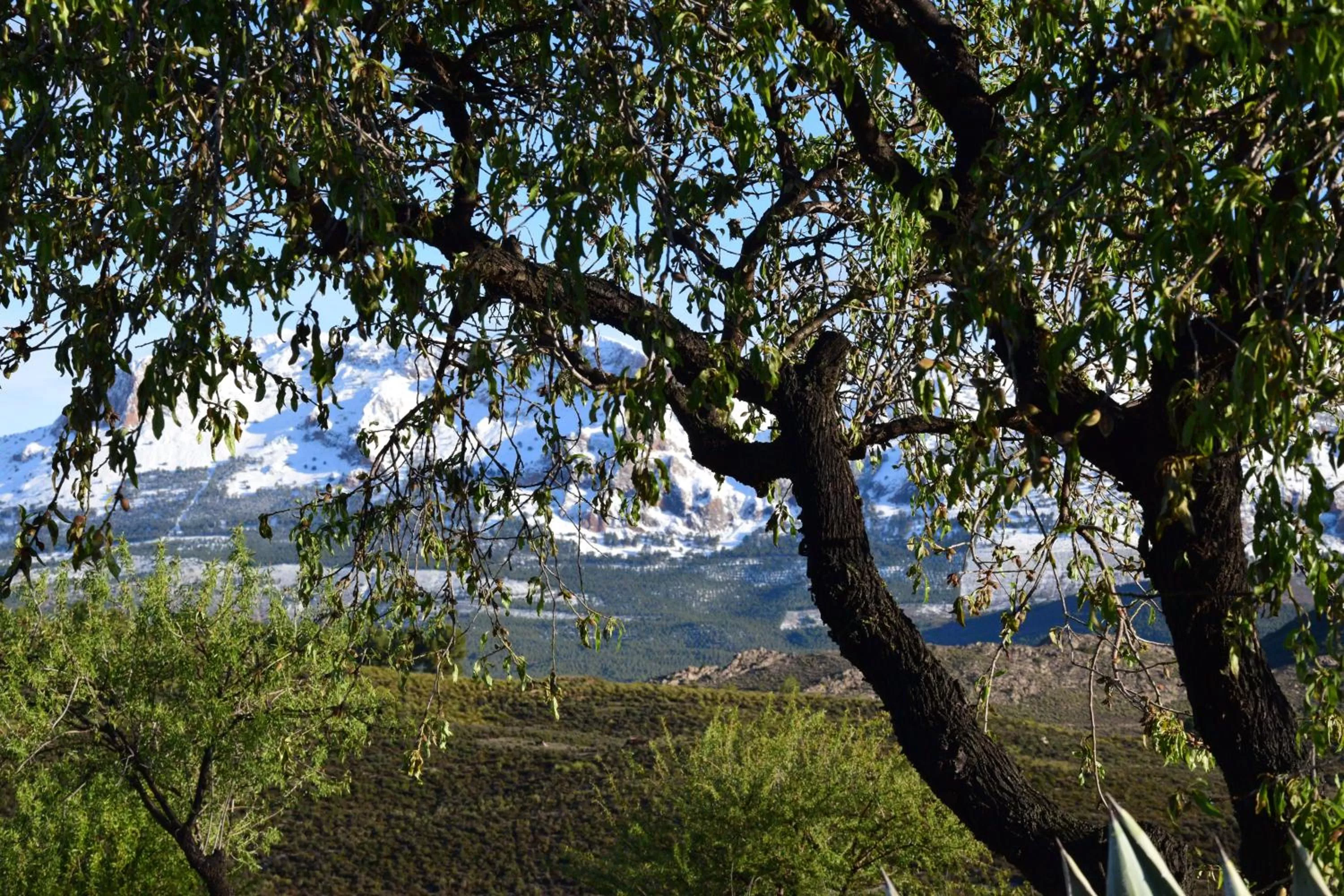 Casa Rural VILLA MELUSINE