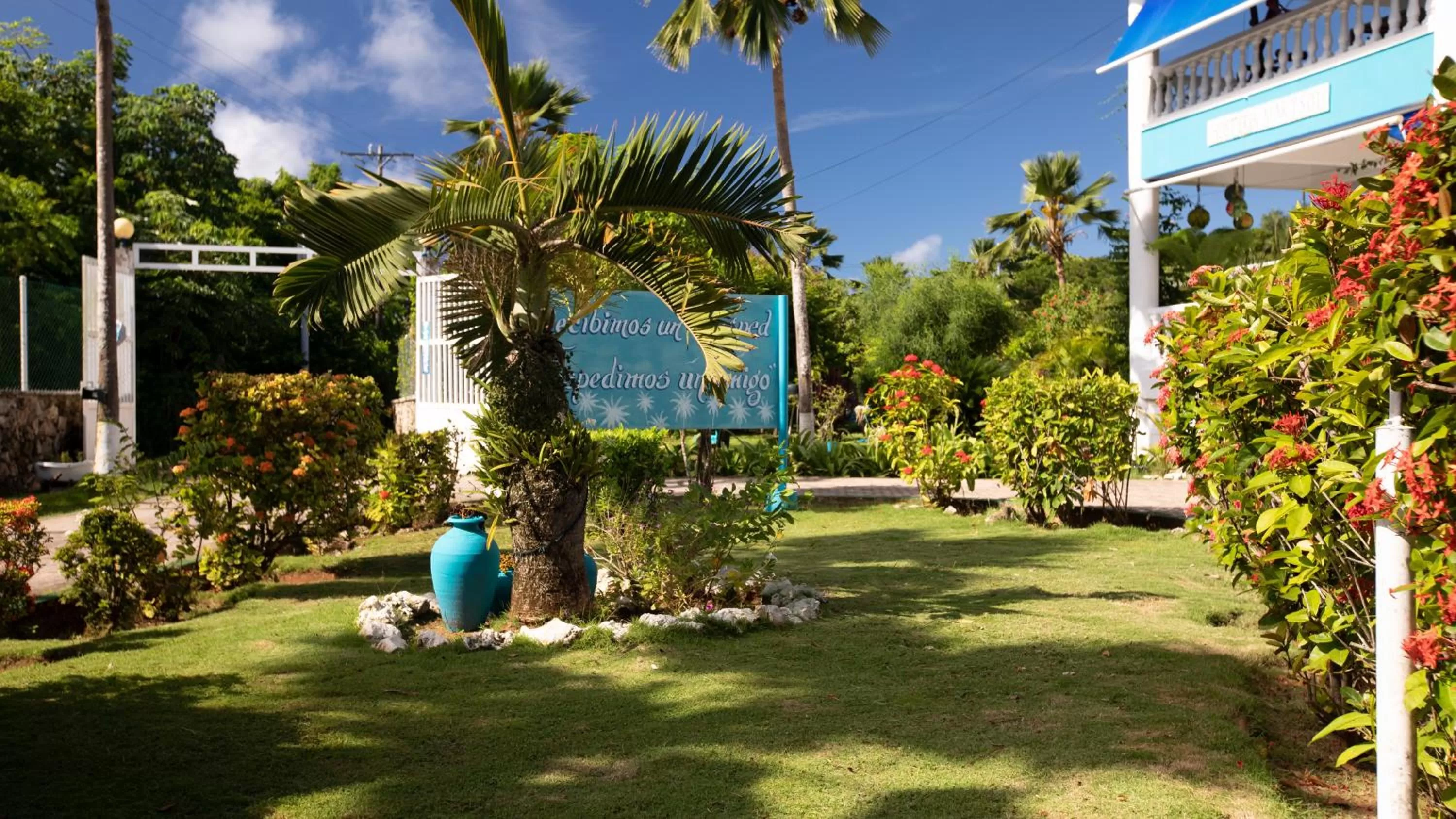 Garden in Hosteria Mar y Sol