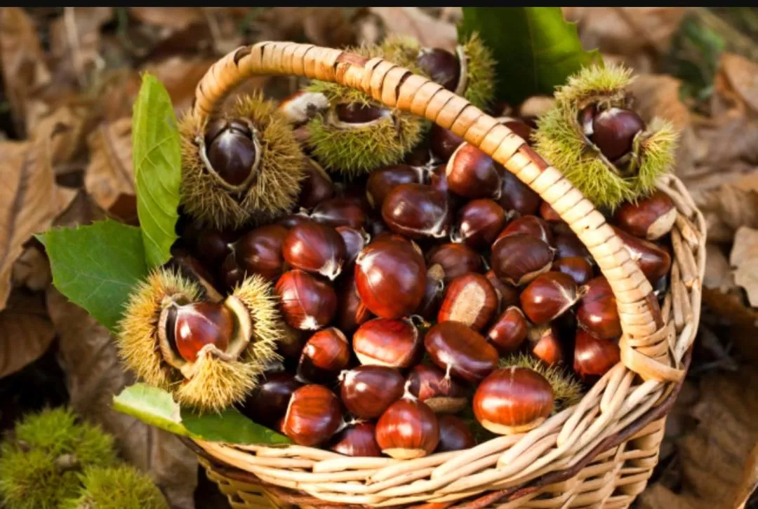 Location in B&B La Rosa dei Venti