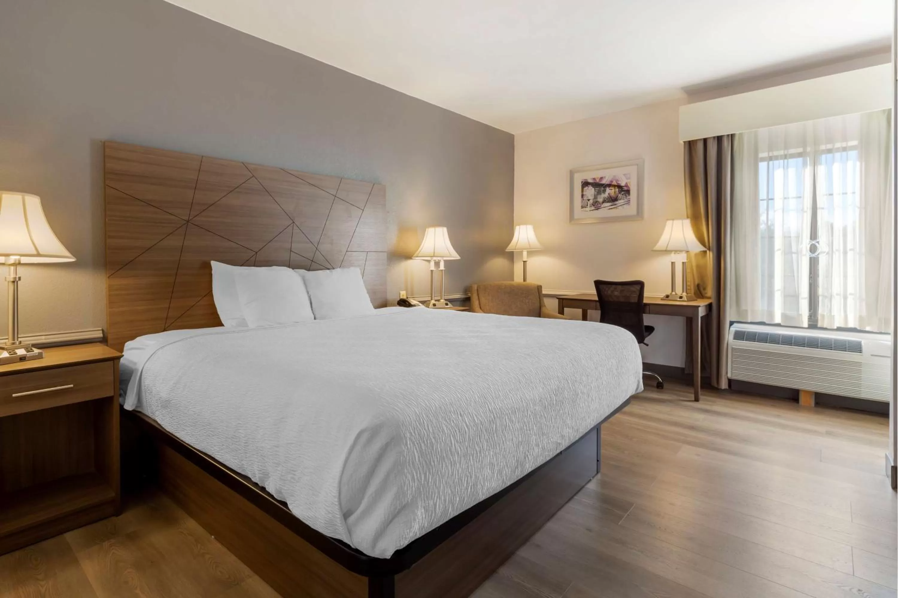 Bedroom in Best Western Plus South Hill Inn