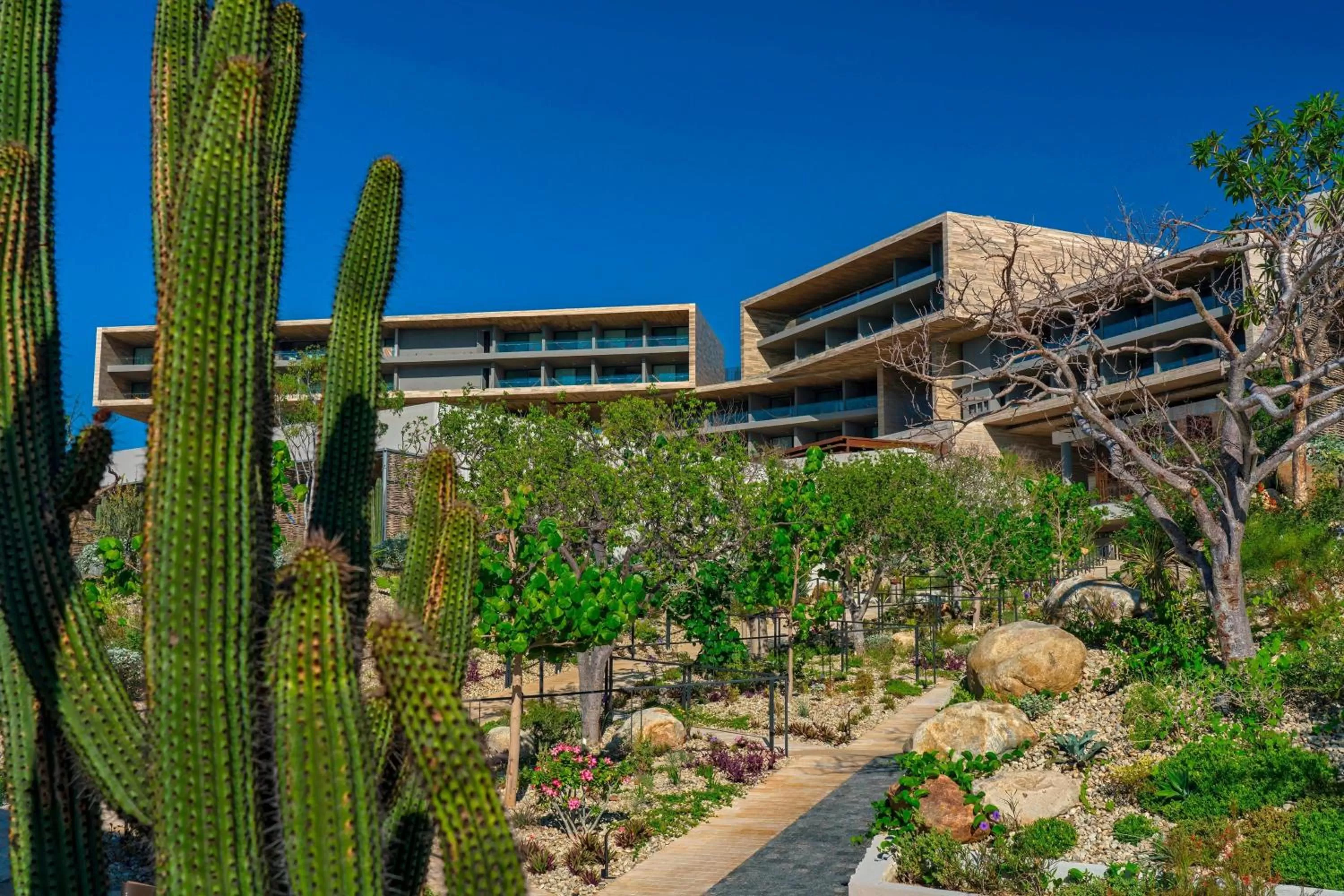 Property building in Solaz, a Luxury Collection Resort, Los Cabos