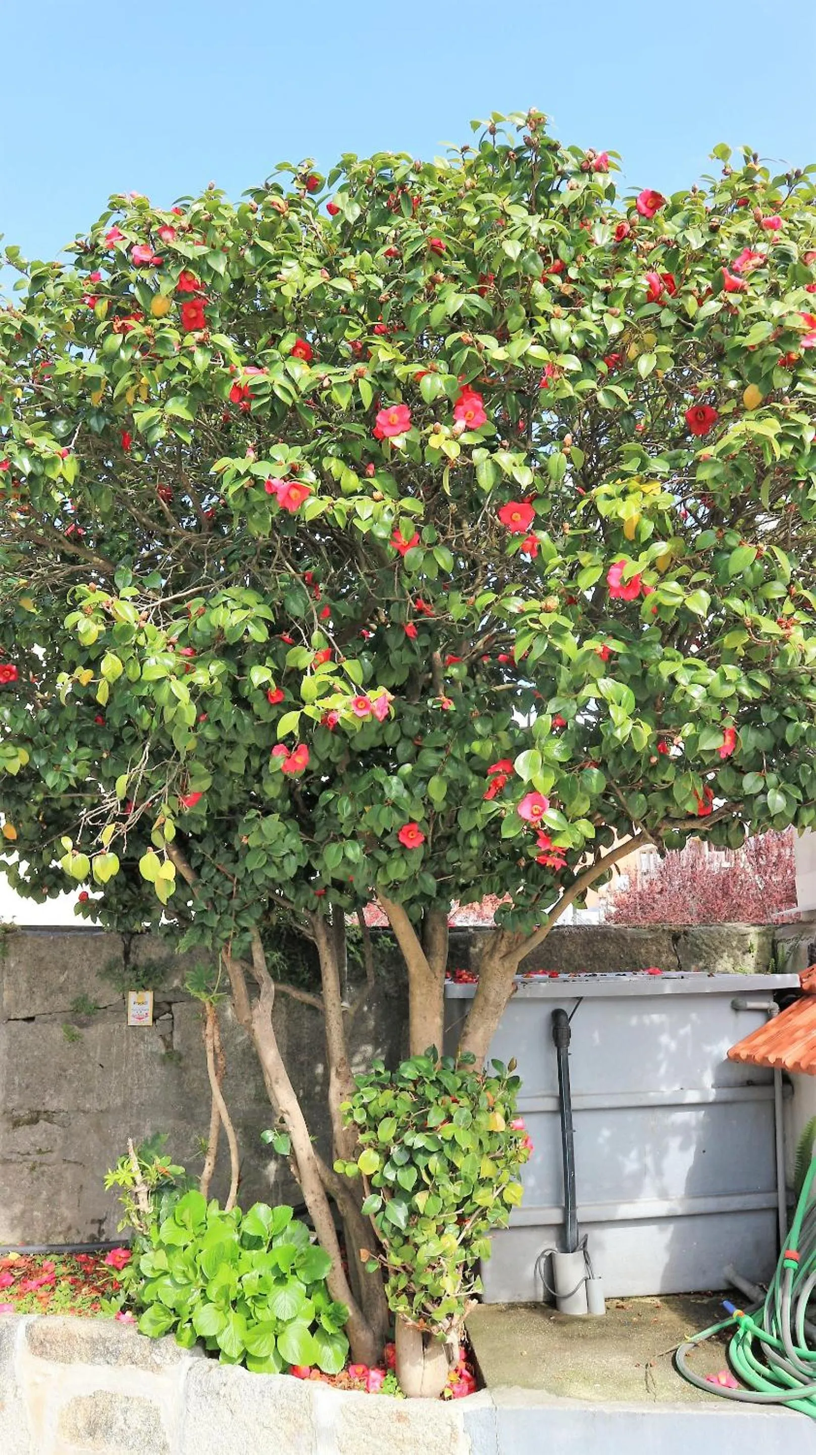 Hotel Senhor de Matosinhos