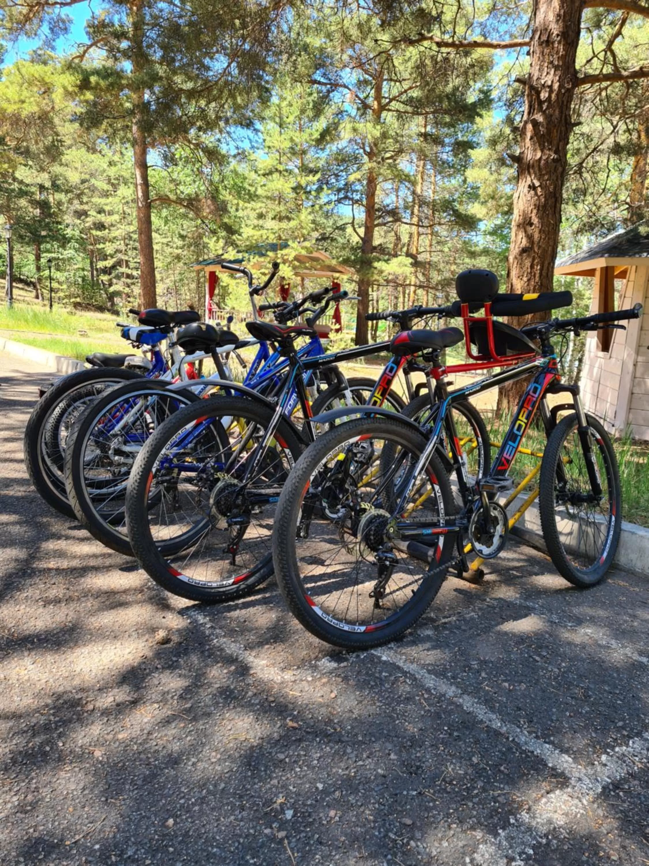 Activities in Park Hotel Kokshetau