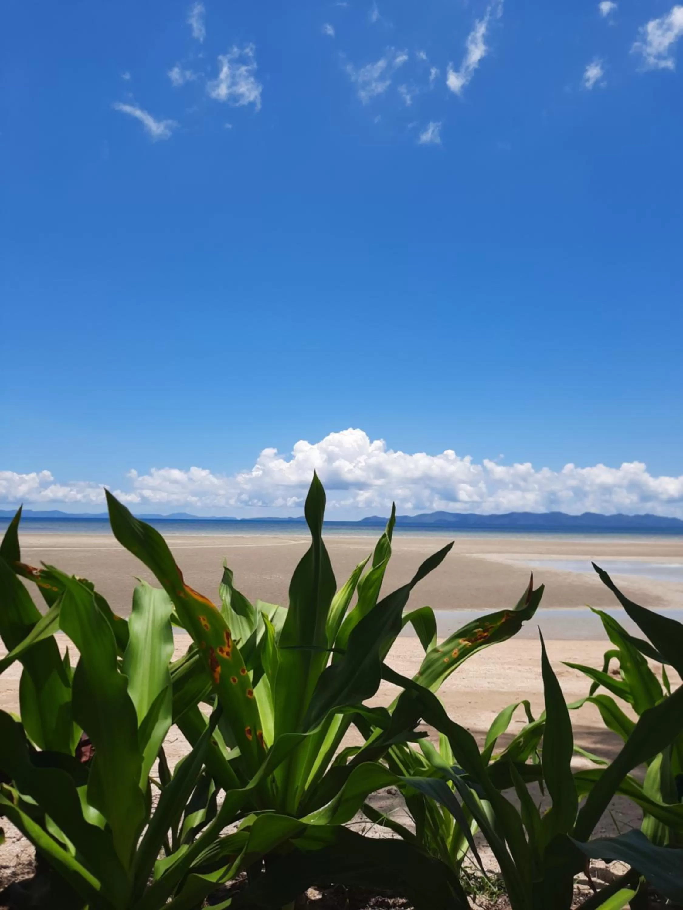 Beach in Eastwind Beach Club- El Nido