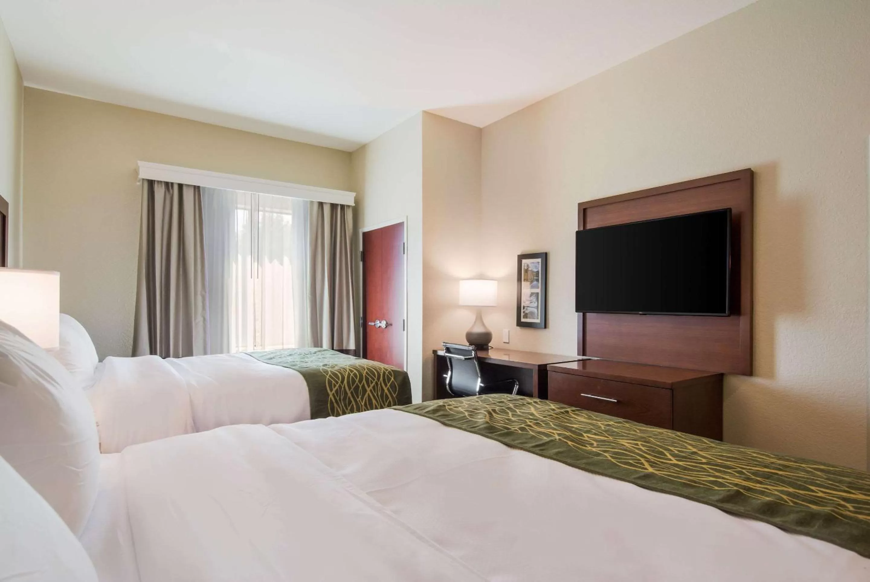 Photo of the whole room, Bed in Comfort Inn & Suites Rock Hill Northeast