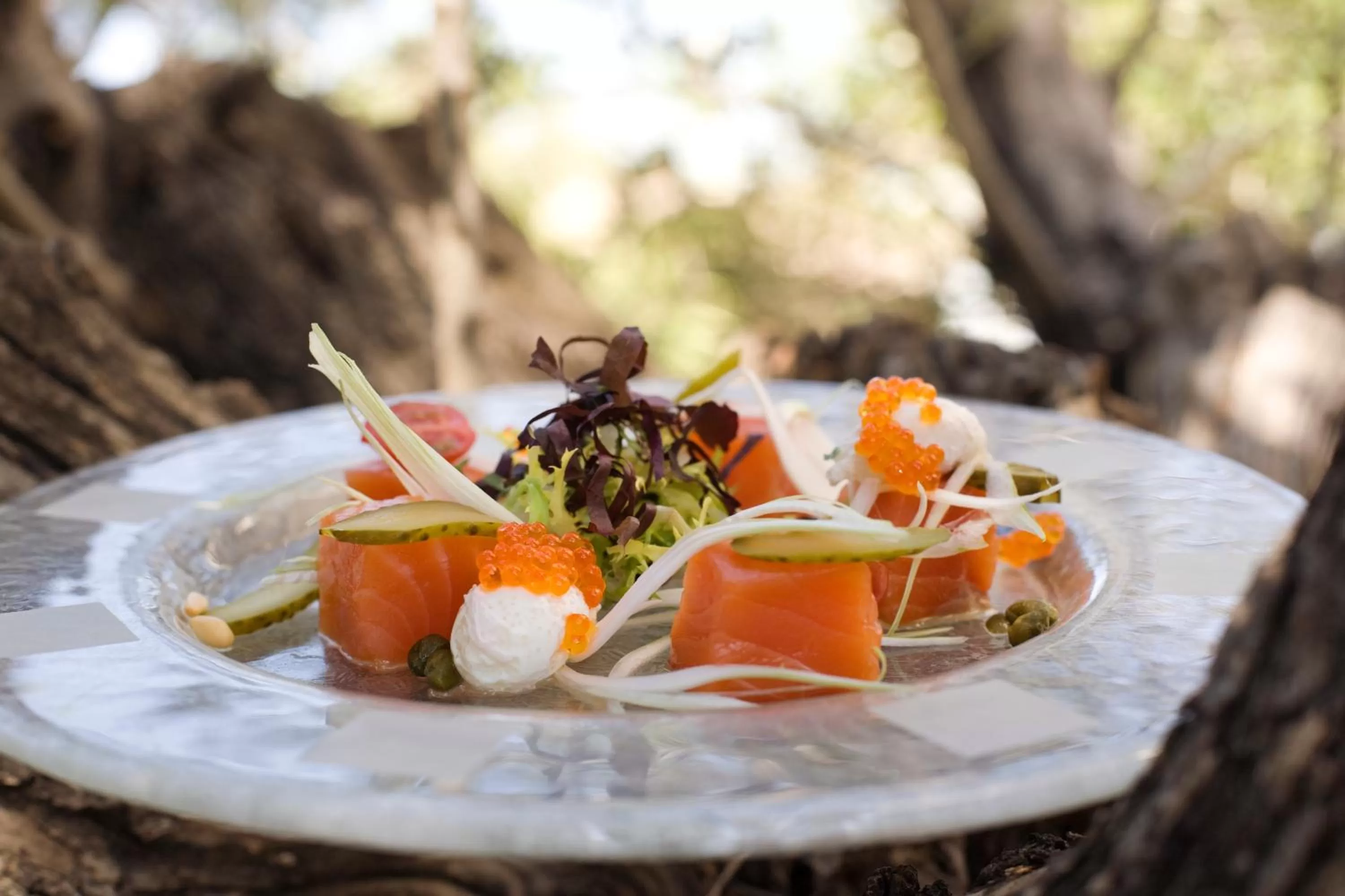 Food and drinks in Best Western Plus Hotel Alfa Aeropuerto