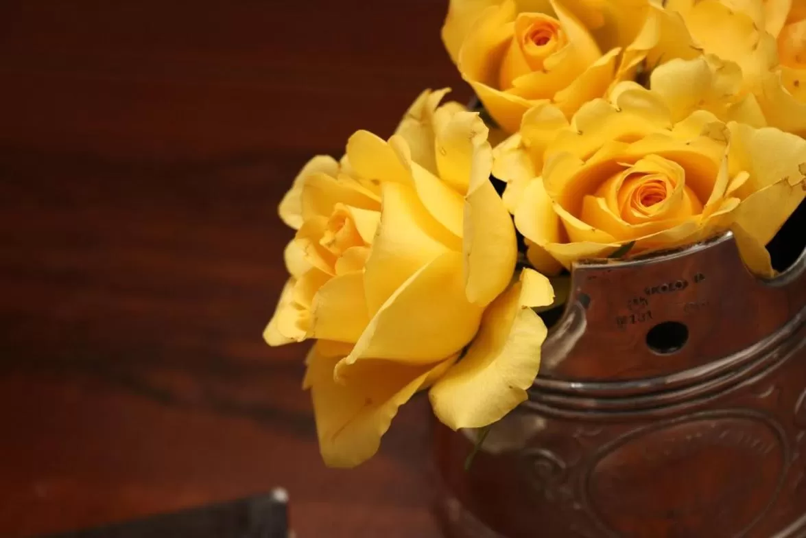 Food in La Maison des Copains