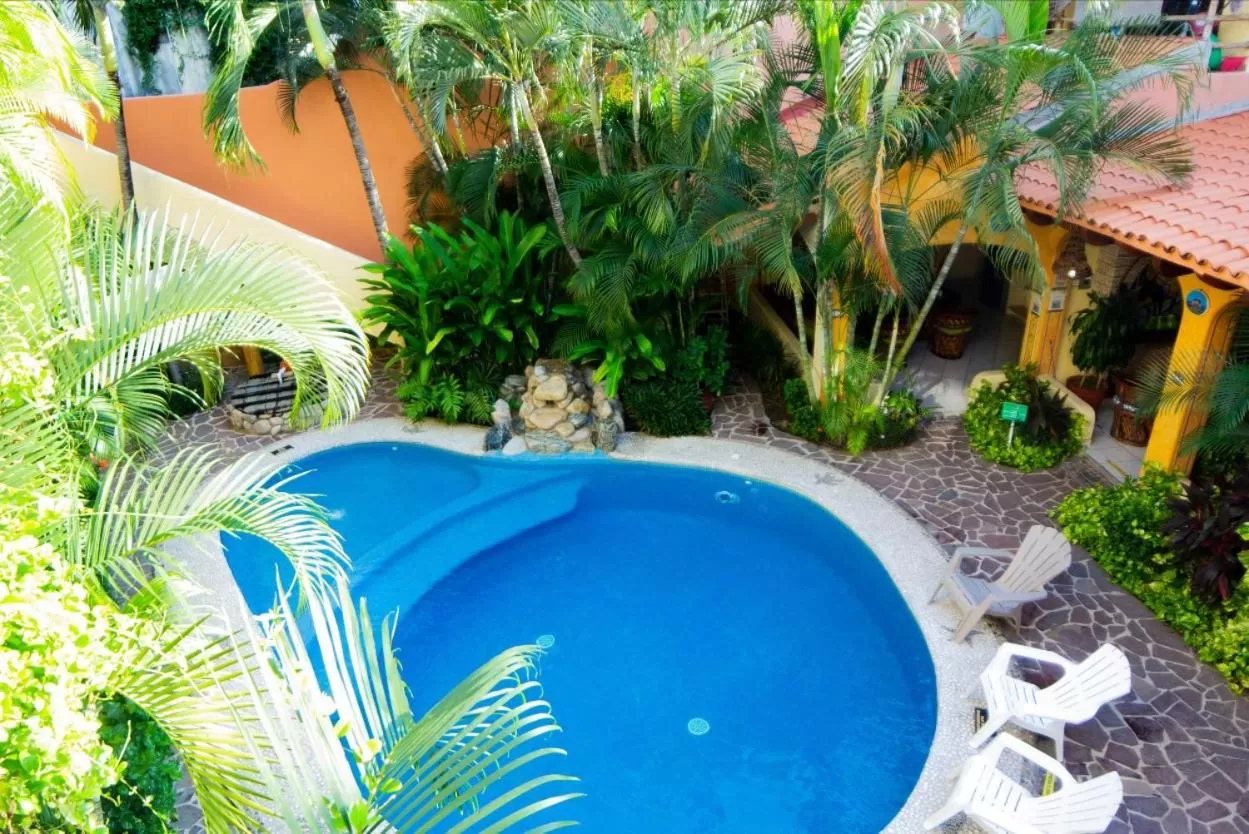 Swimming pool in Bungalows Jaqueline