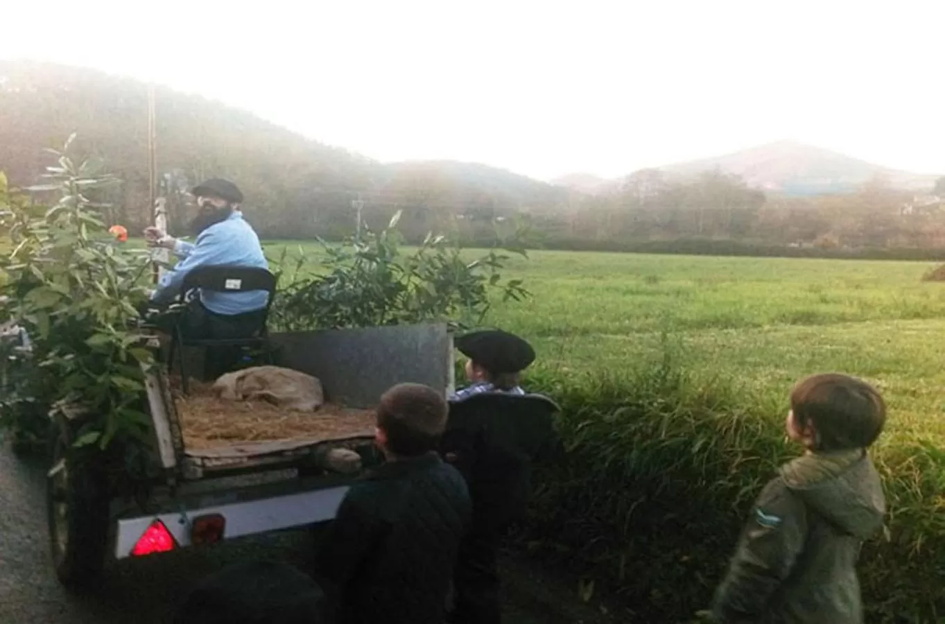 Activities in Casa Rural Txokoetxe