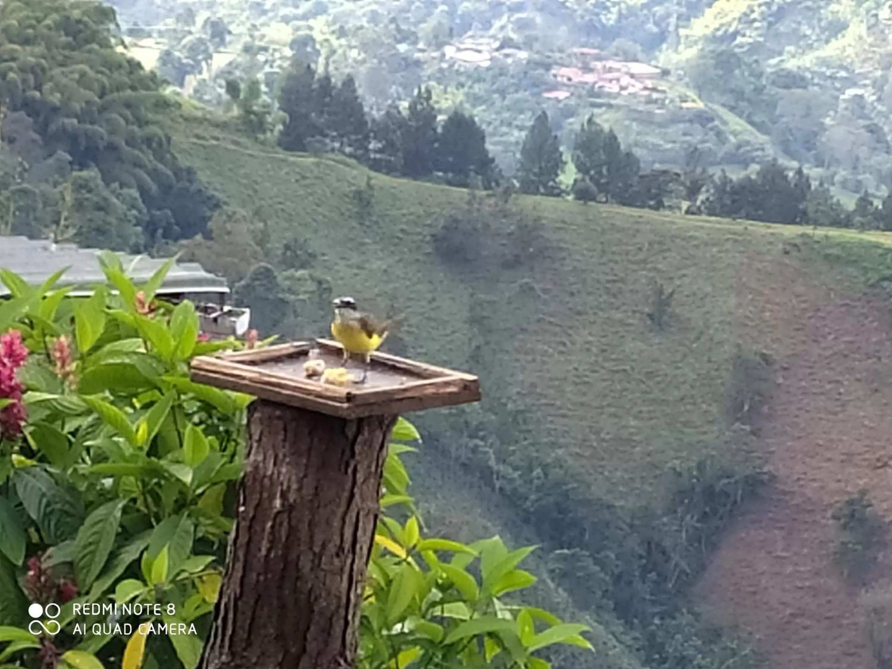 Mirador Finca Morrogacho