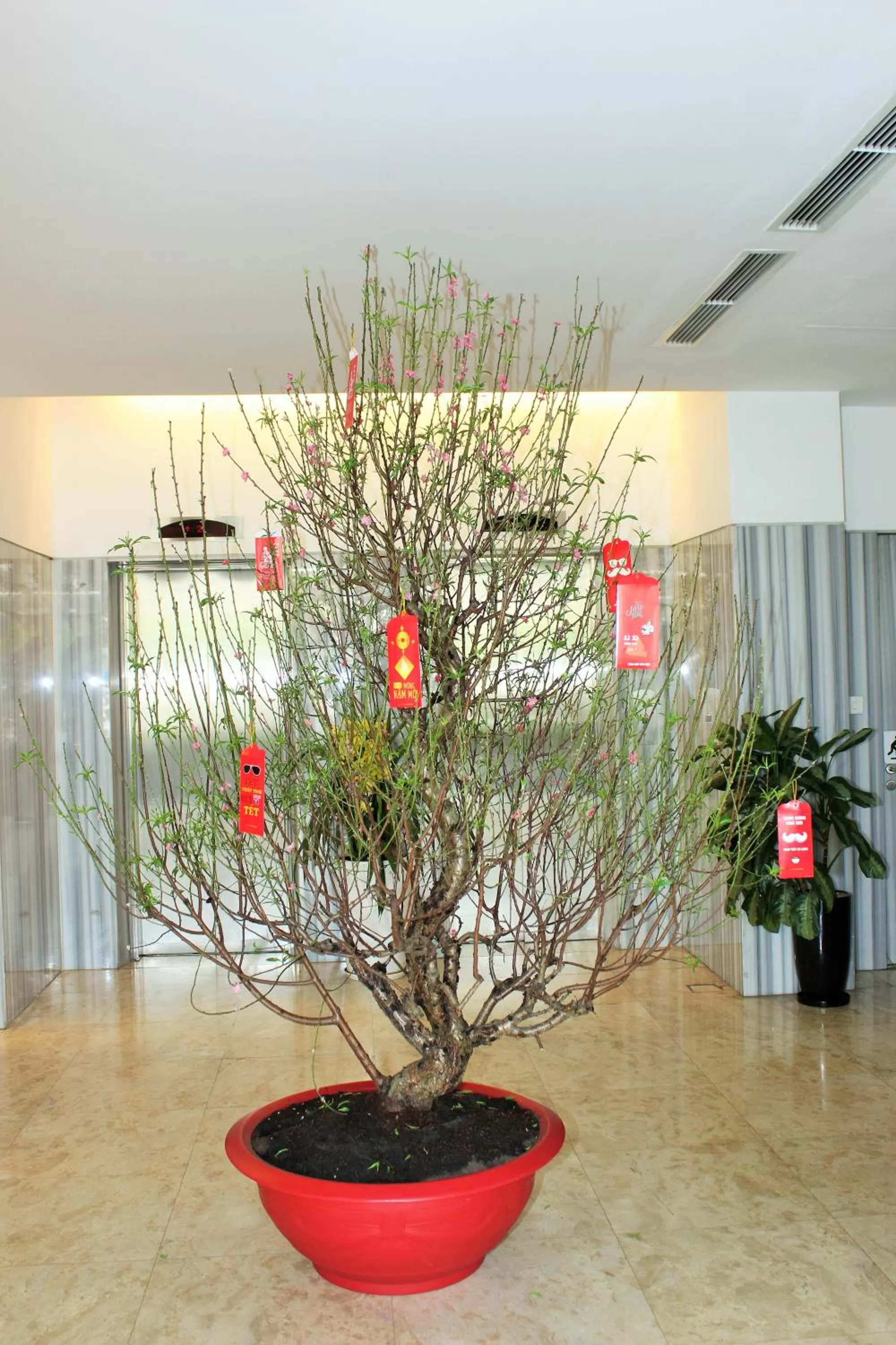 Lobby or reception in Liberty Hotel Saigon Greenview