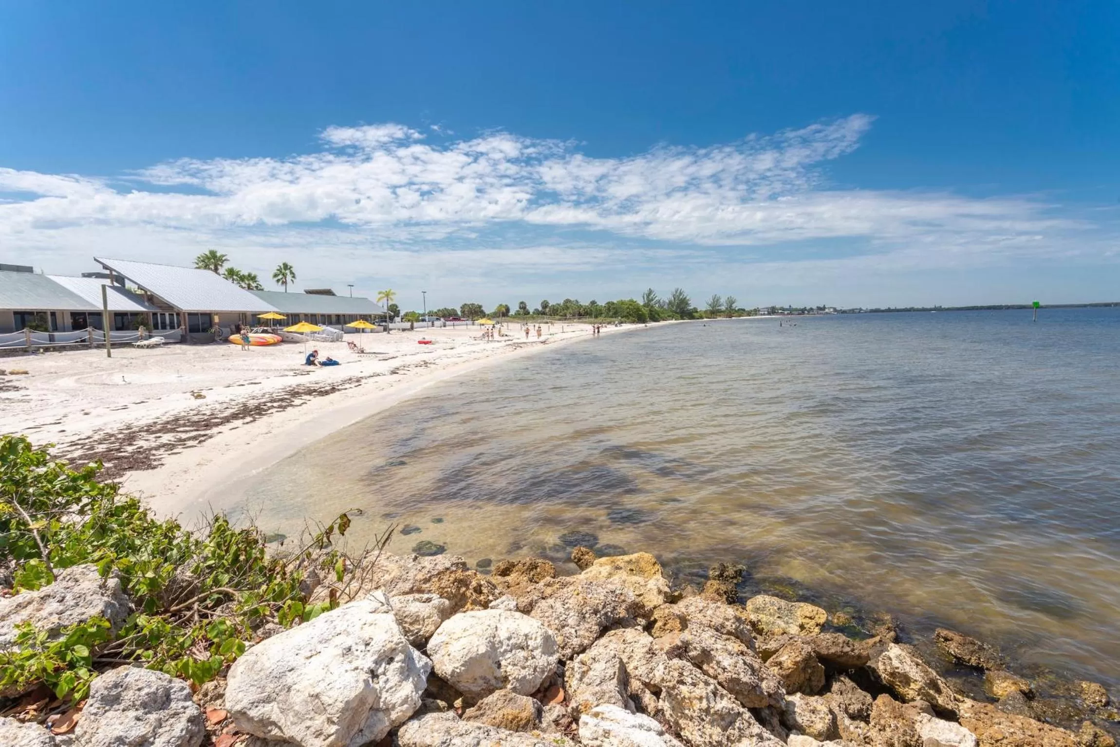 Beach in TAMPA BAY, BEACH step away, WIFI, FREE PARKING,POOLS, JACUZZI