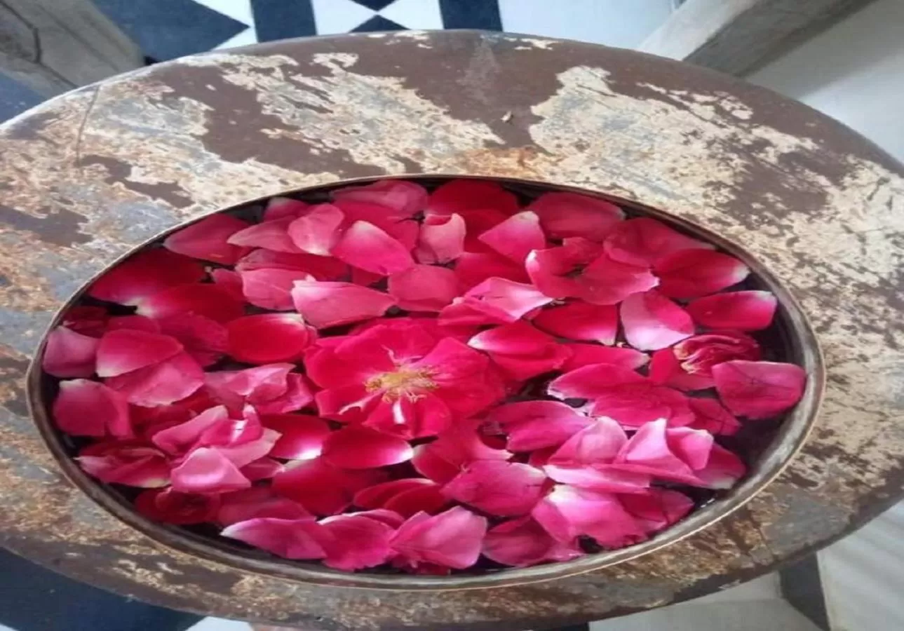 Decorative detail in The Secret House - Adults Only