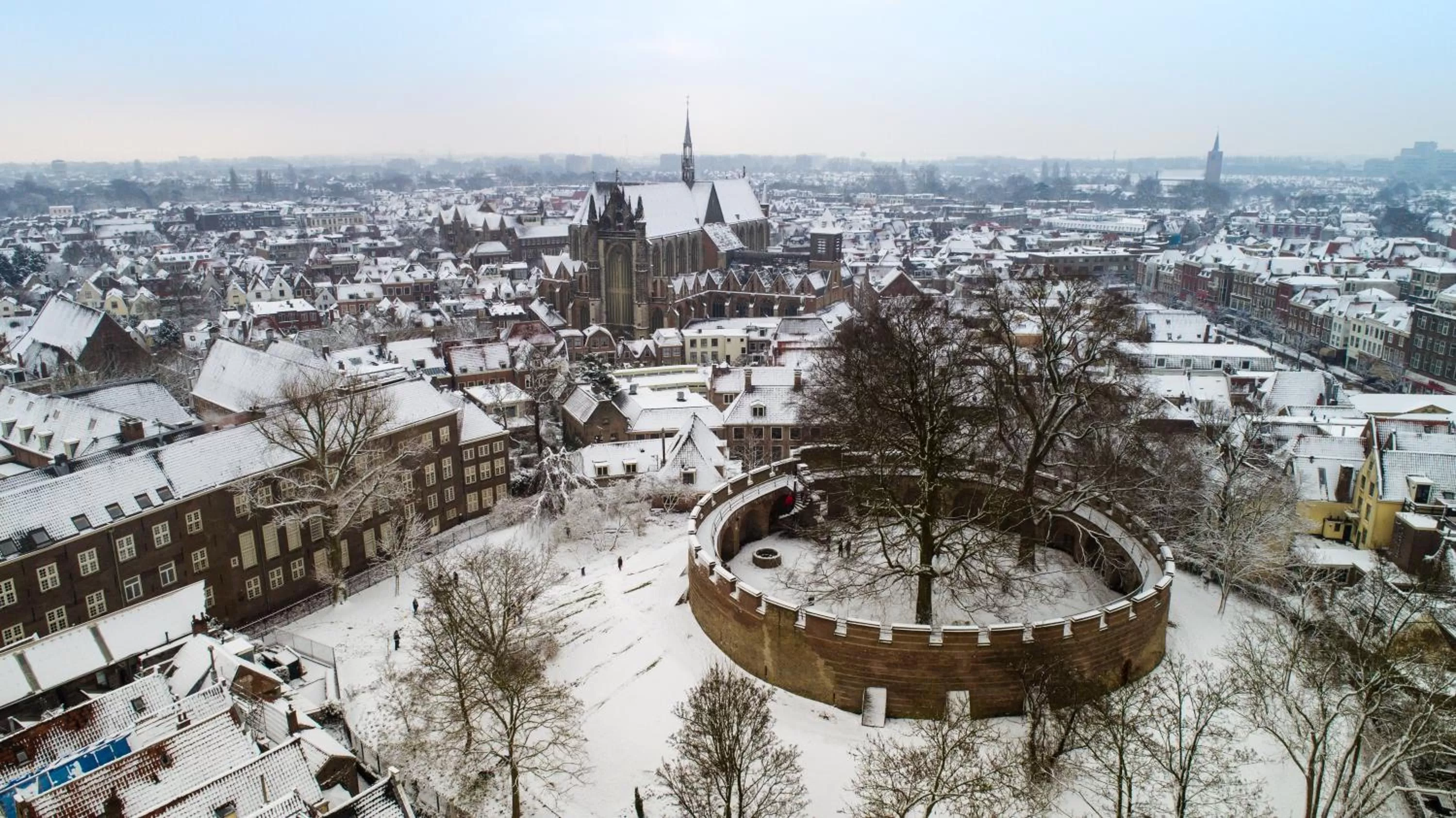 Natural landscape in Golden Tulip Leiden Centre