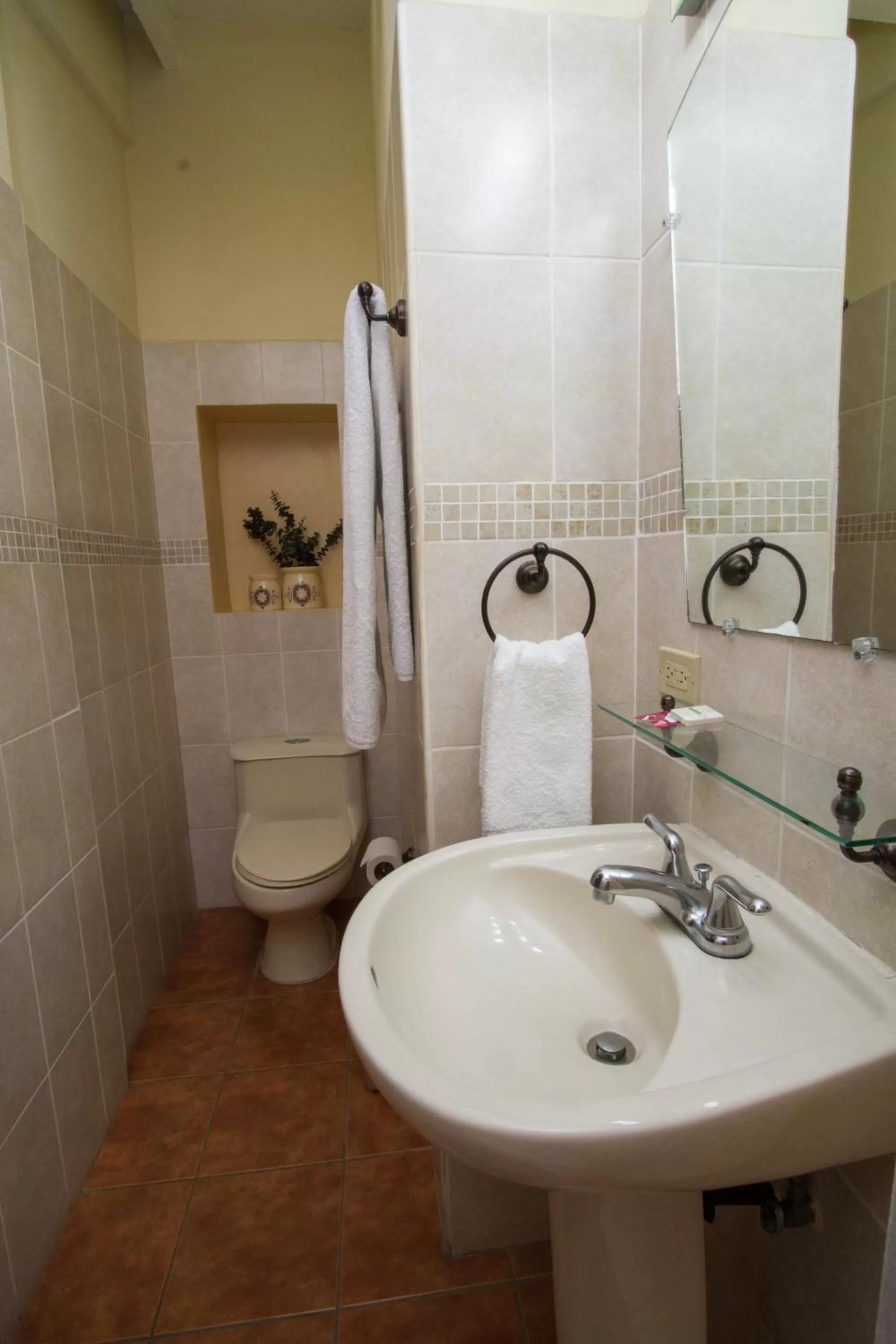 Shower, Bathroom in Hotel Colibri