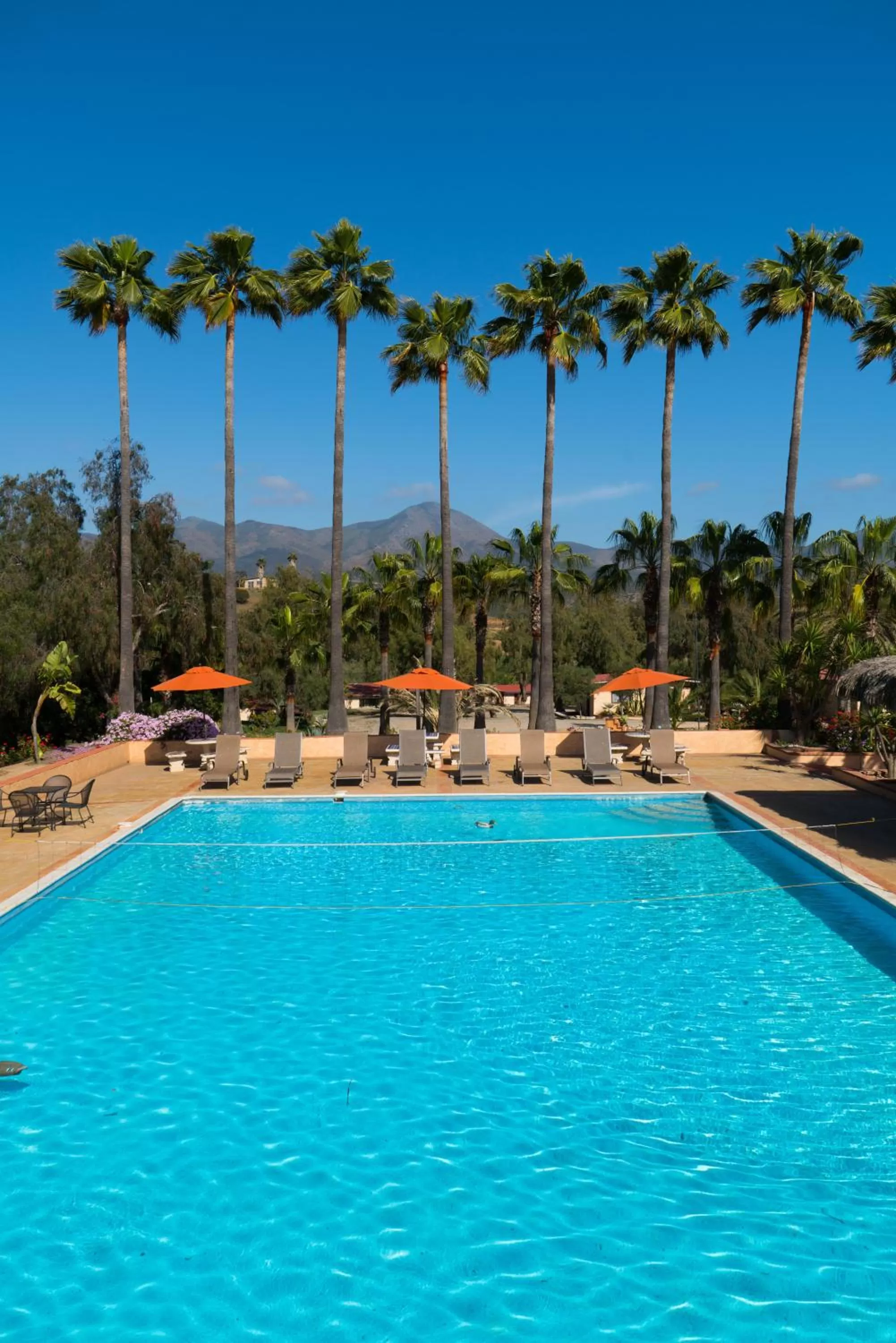 Family in Horsepower Ranch