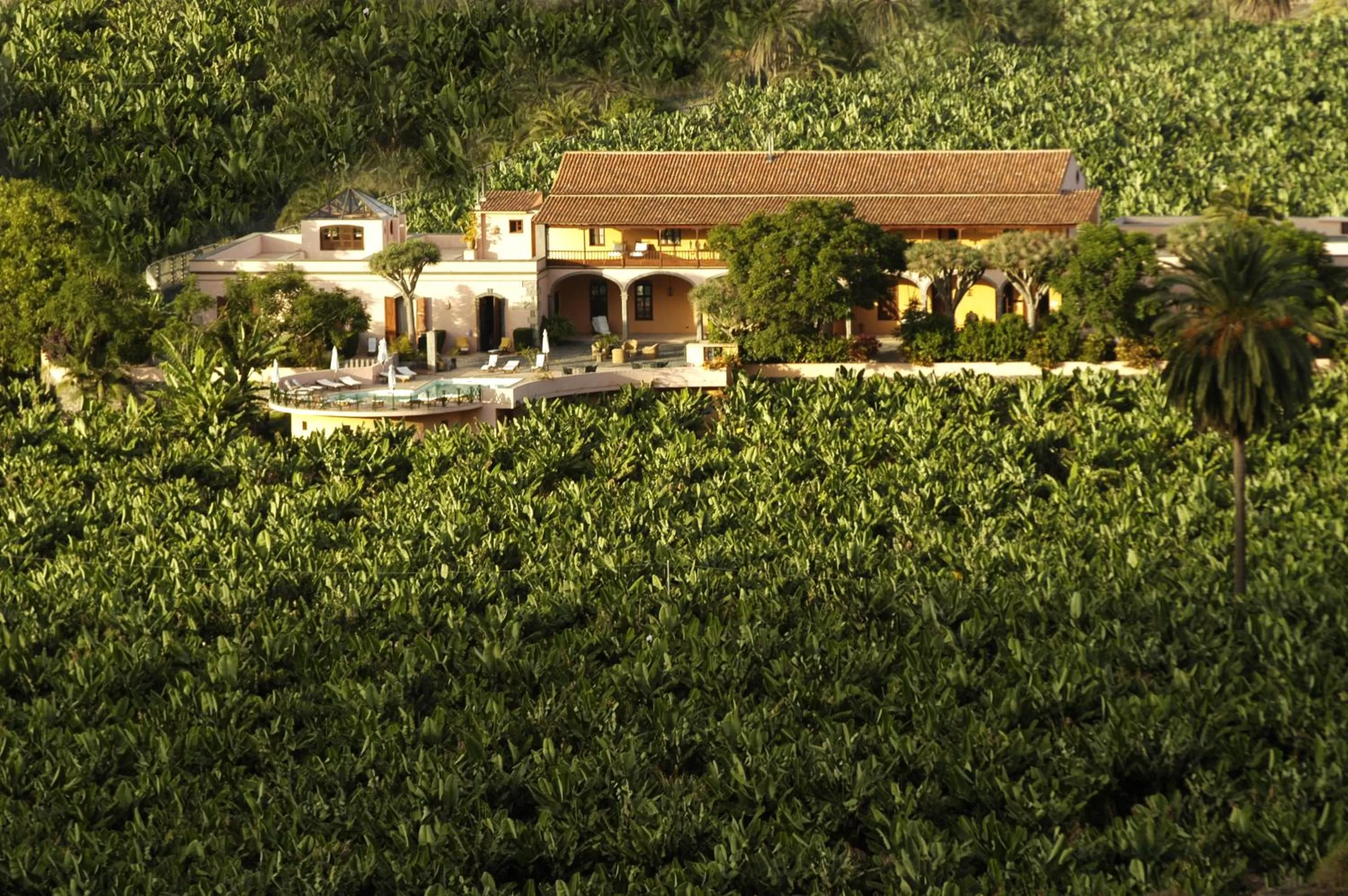 Natural landscape in Hotel Rural Hacienda del Buen Suceso