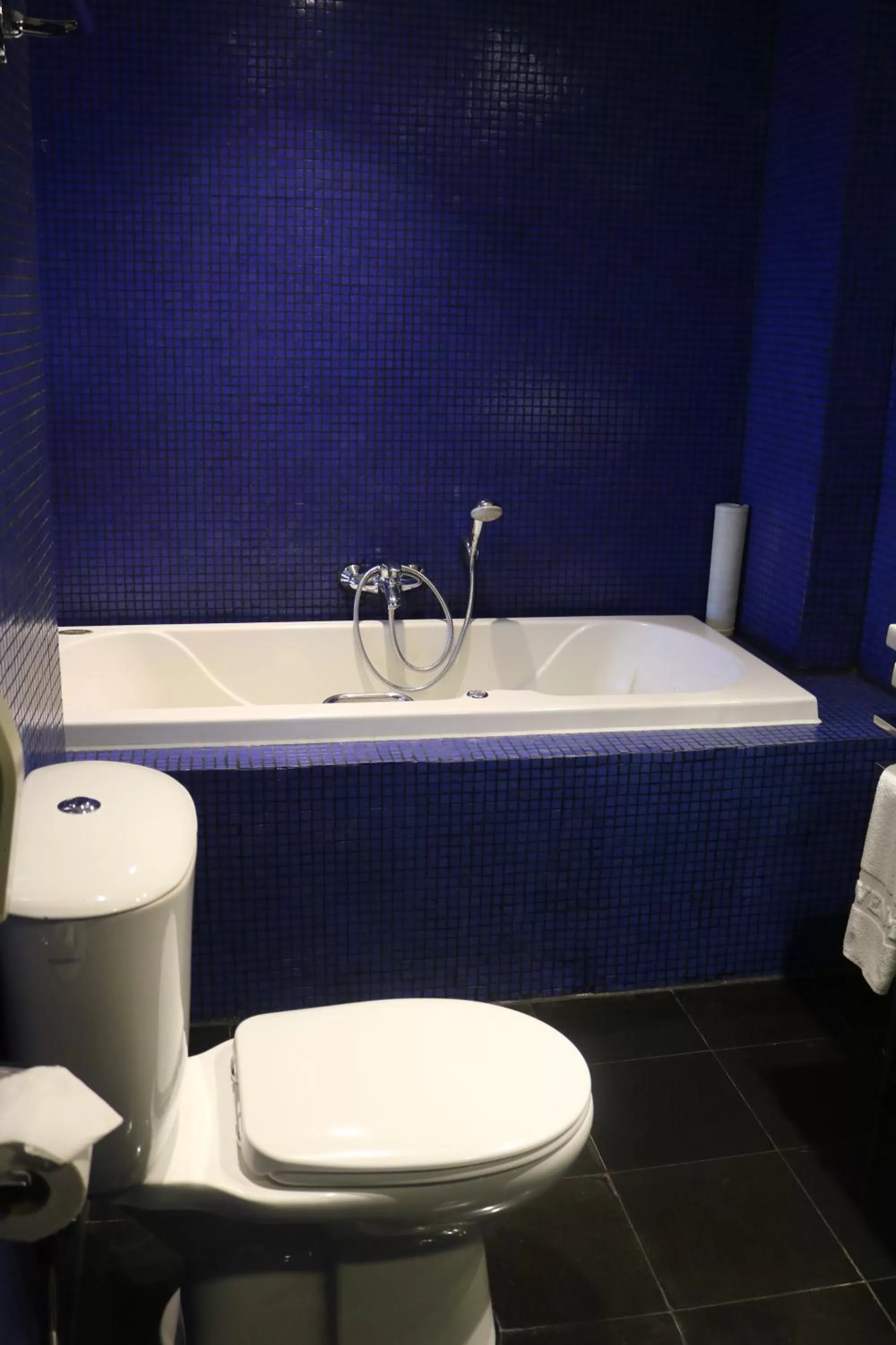 Toilet in Mövenpick Hotel Mactan Island Cebu