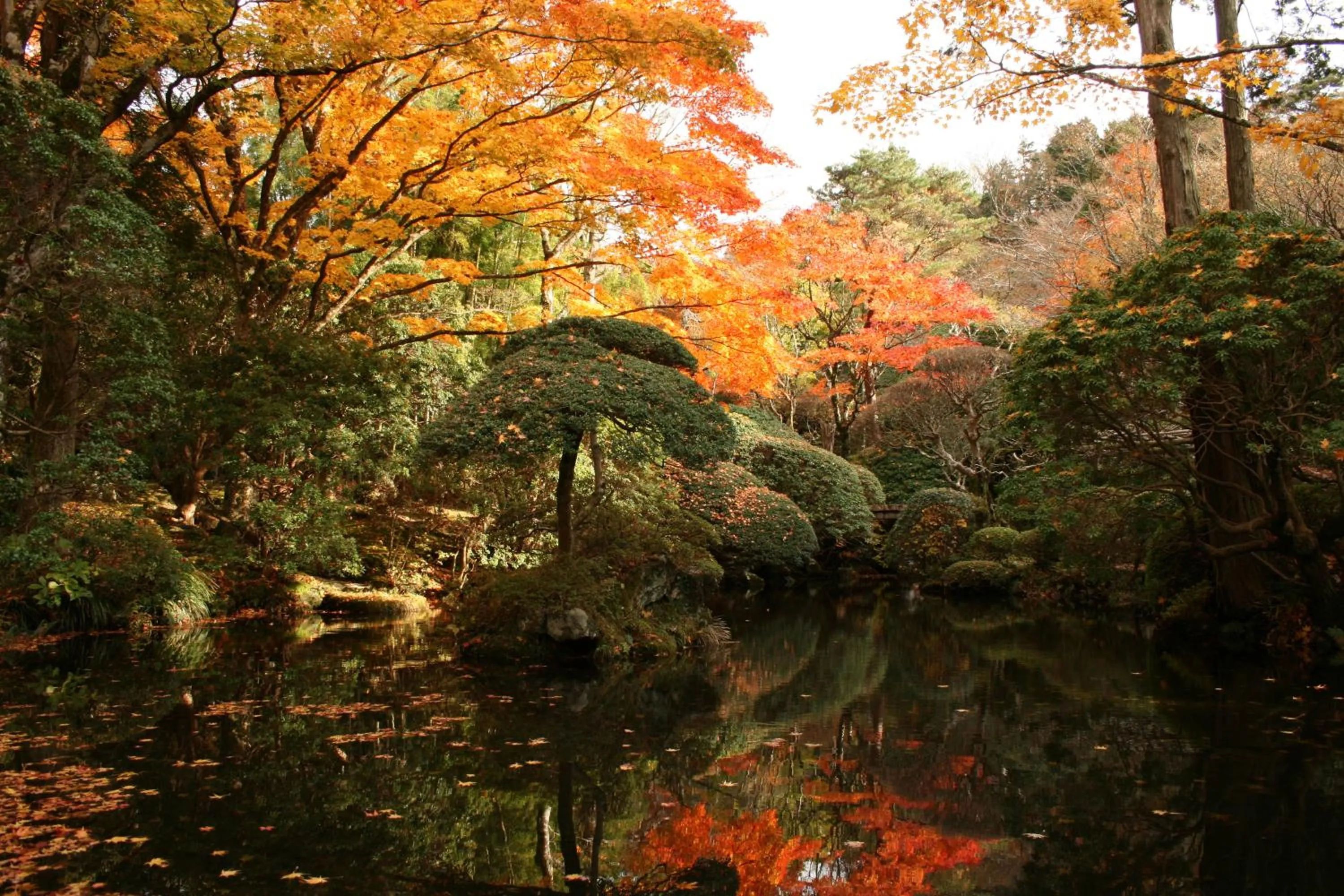 Natural landscape in Senkyoro