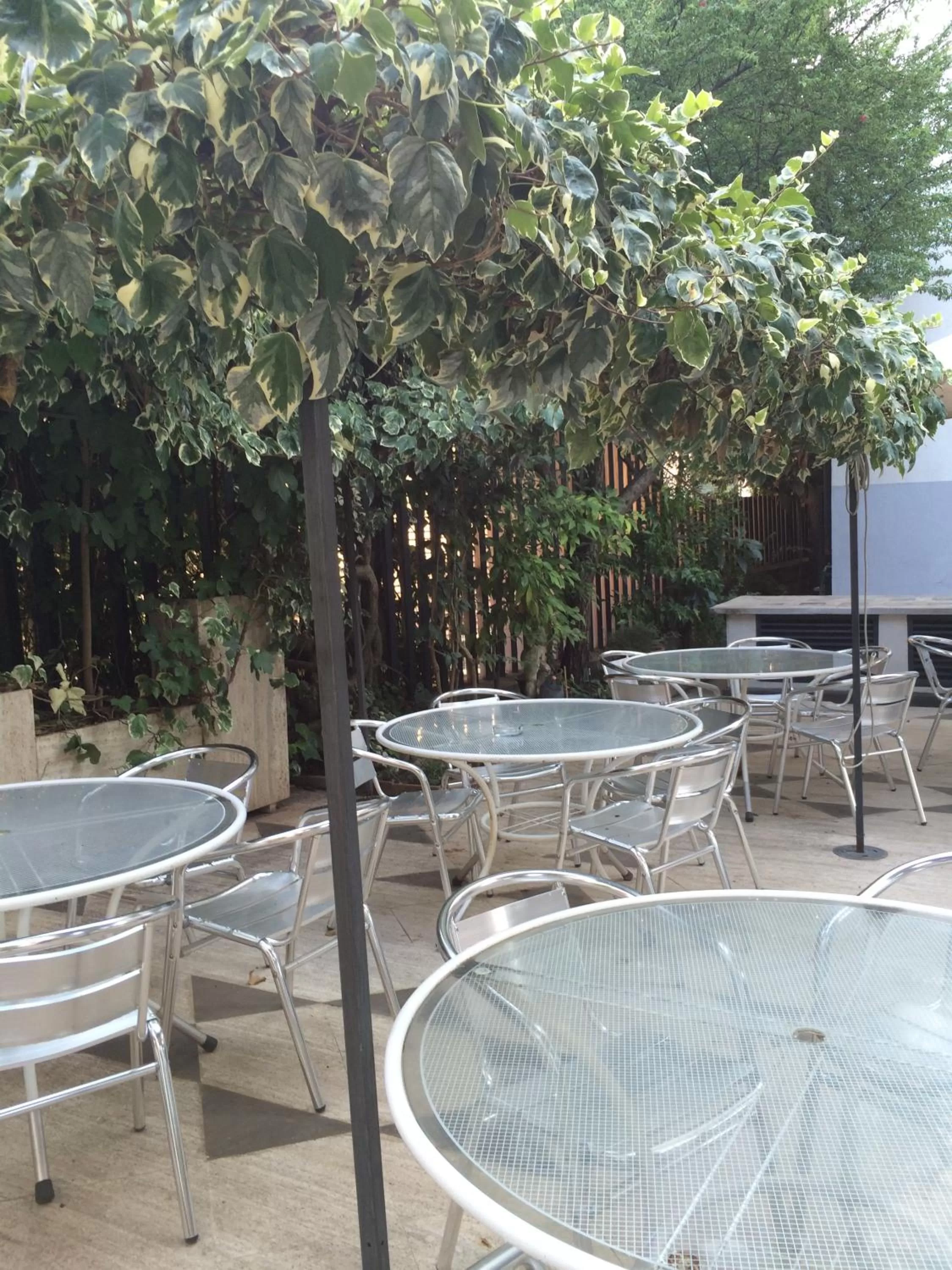 Garden in Hotel Letizia