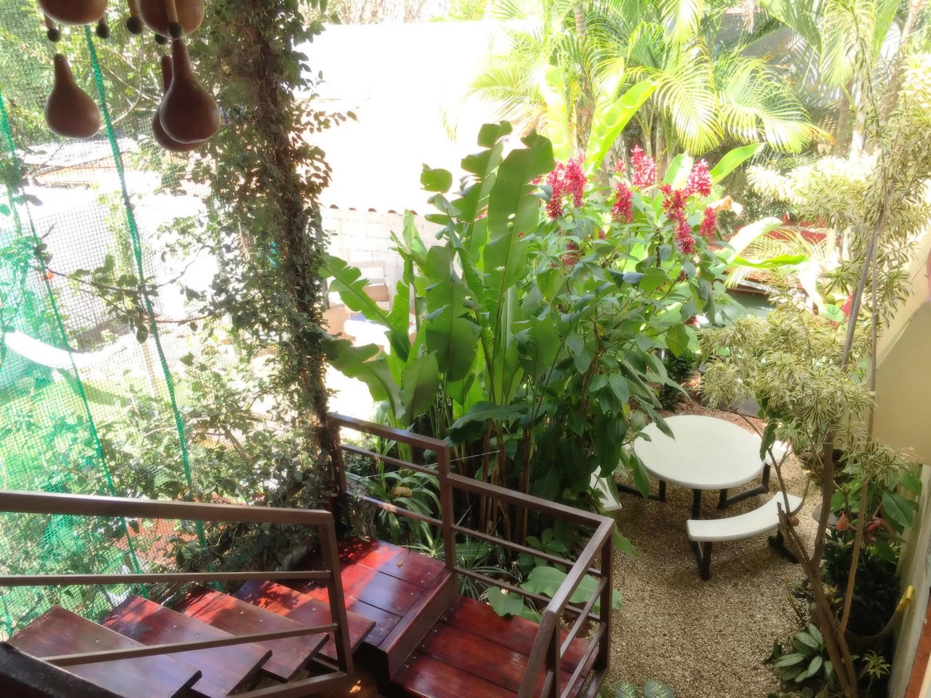 Patio in Hotel Pacande B&B