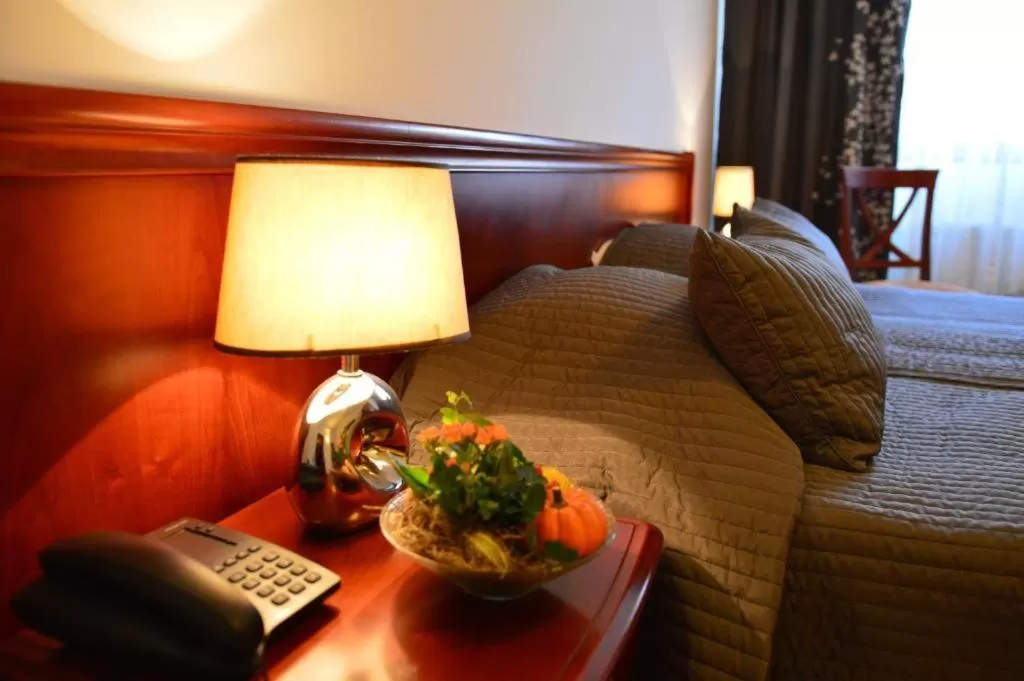 Standard Double Room in Hotel Andy