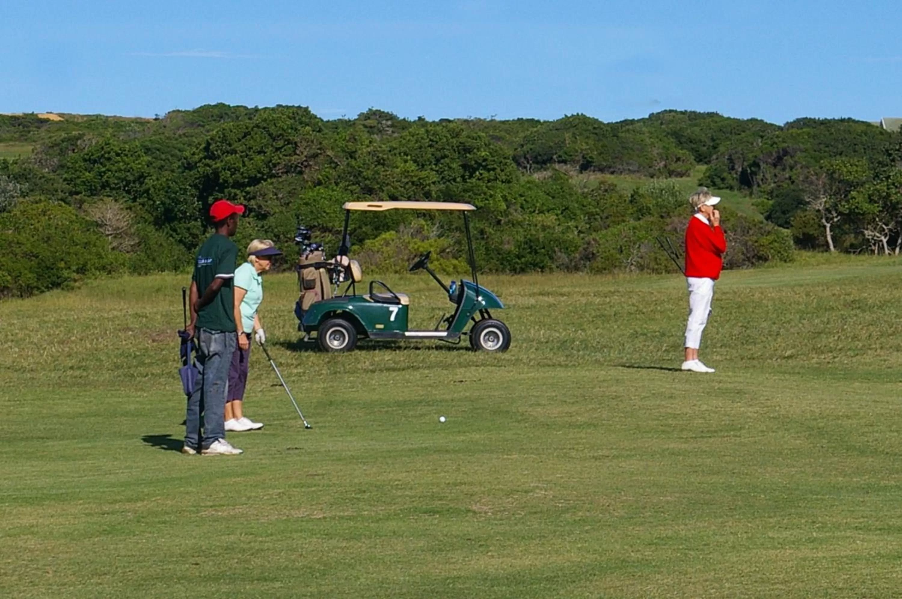 Golf in Tertia's Logcabin