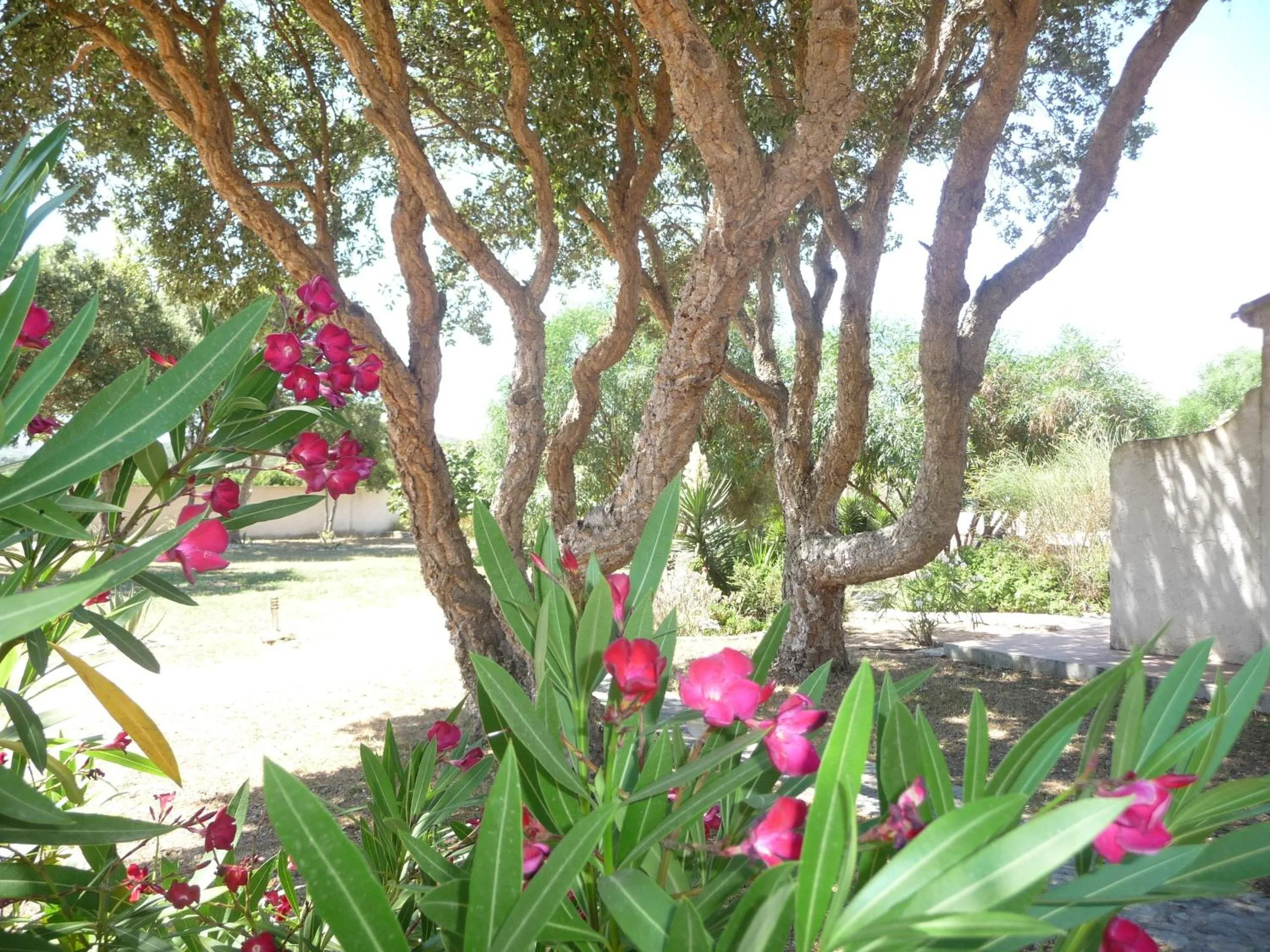 Day in Hôtel Padolo