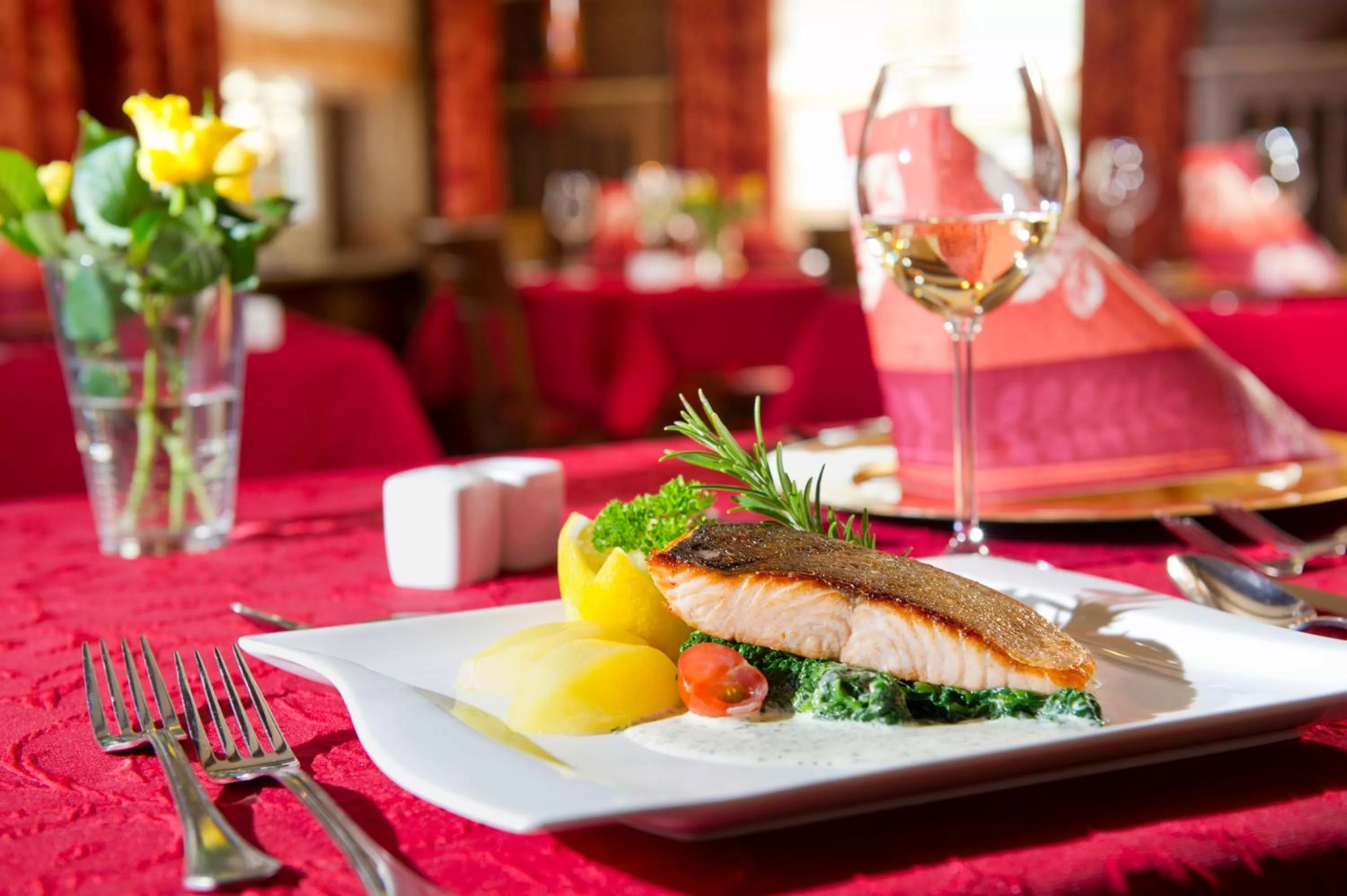 Food close-up, Restaurant/Places to Eat in Hotel Storck