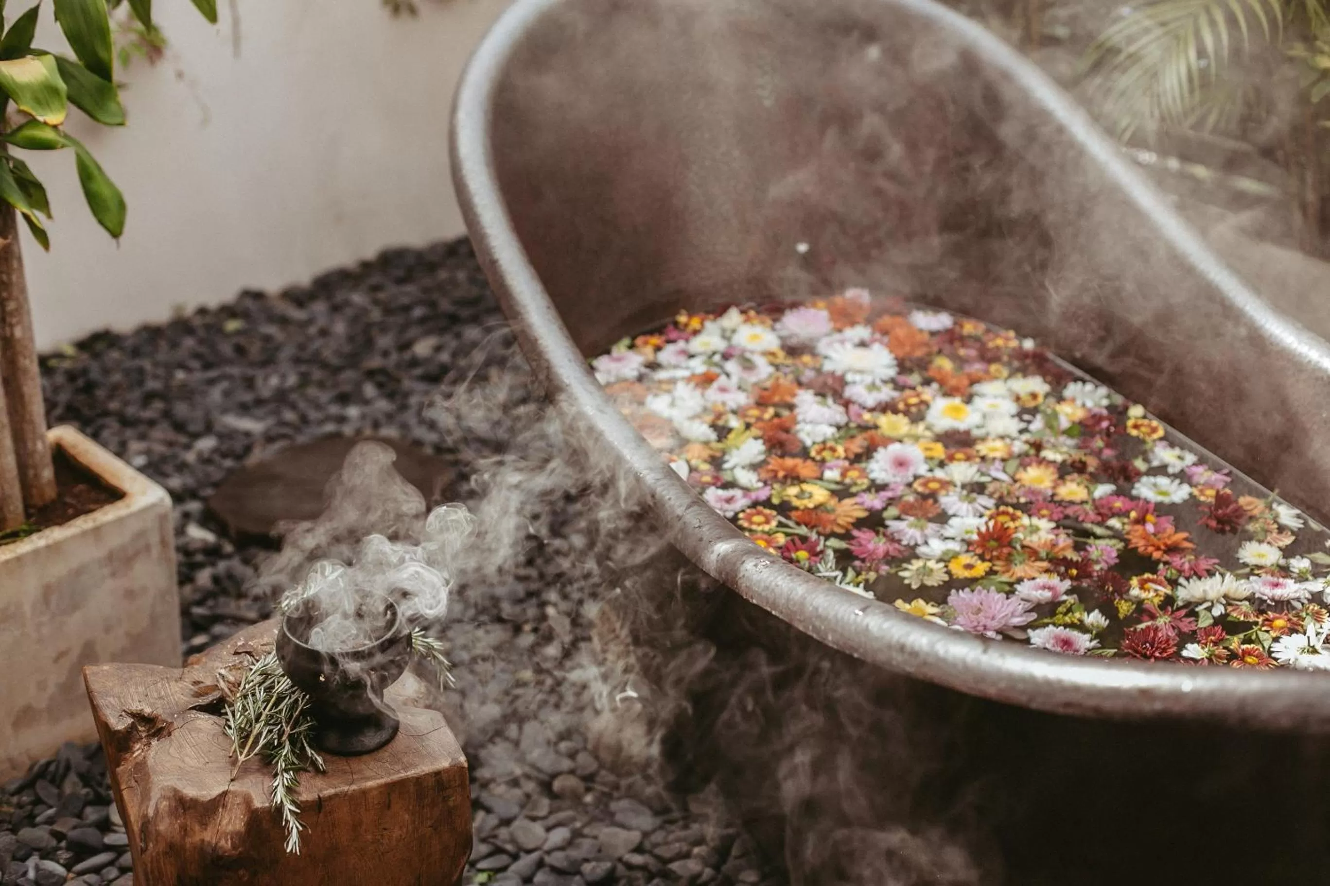 Area and facilities in Era Hotel & Spa Tulum