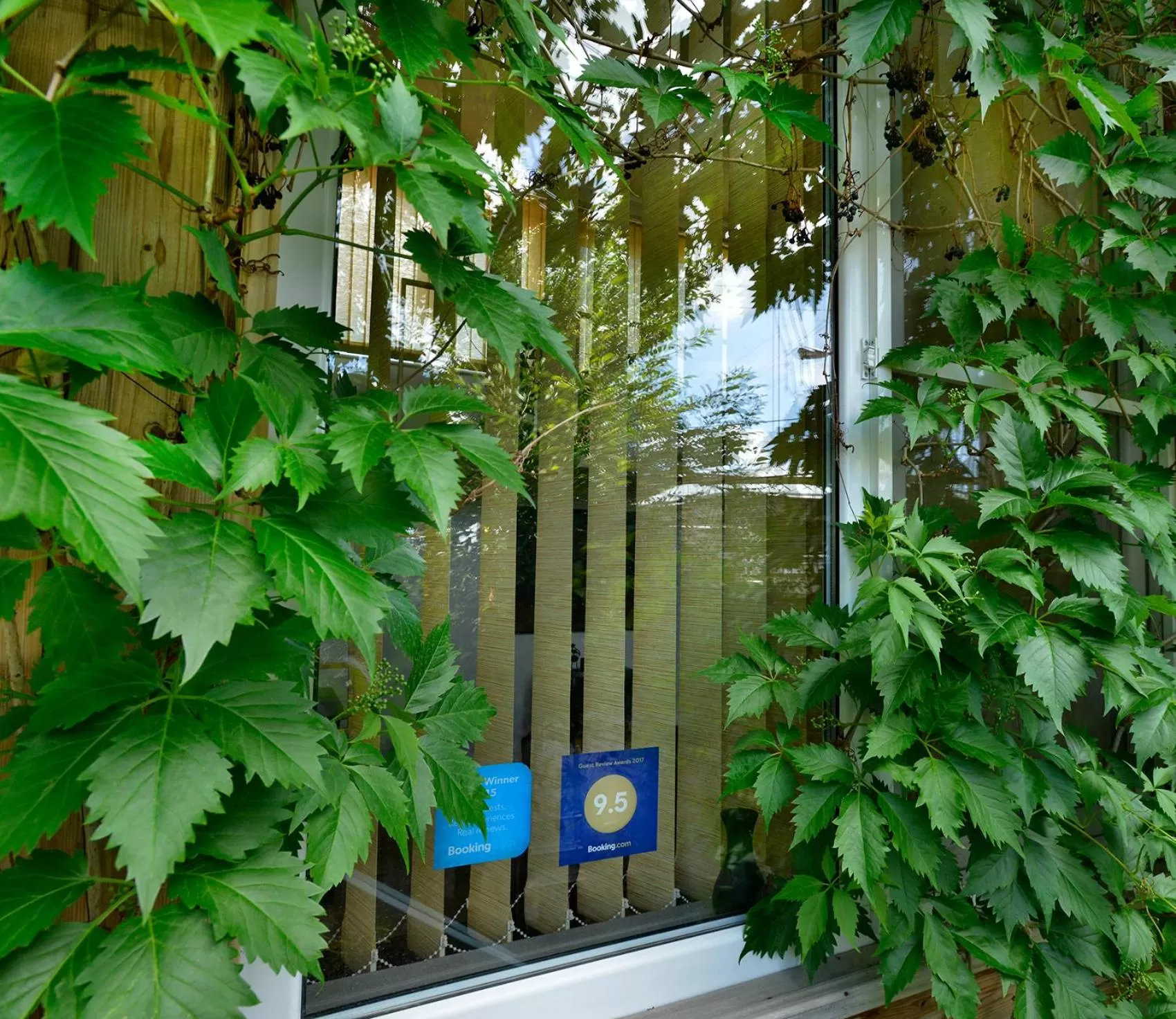 Certificate/Award in Armine's B&B