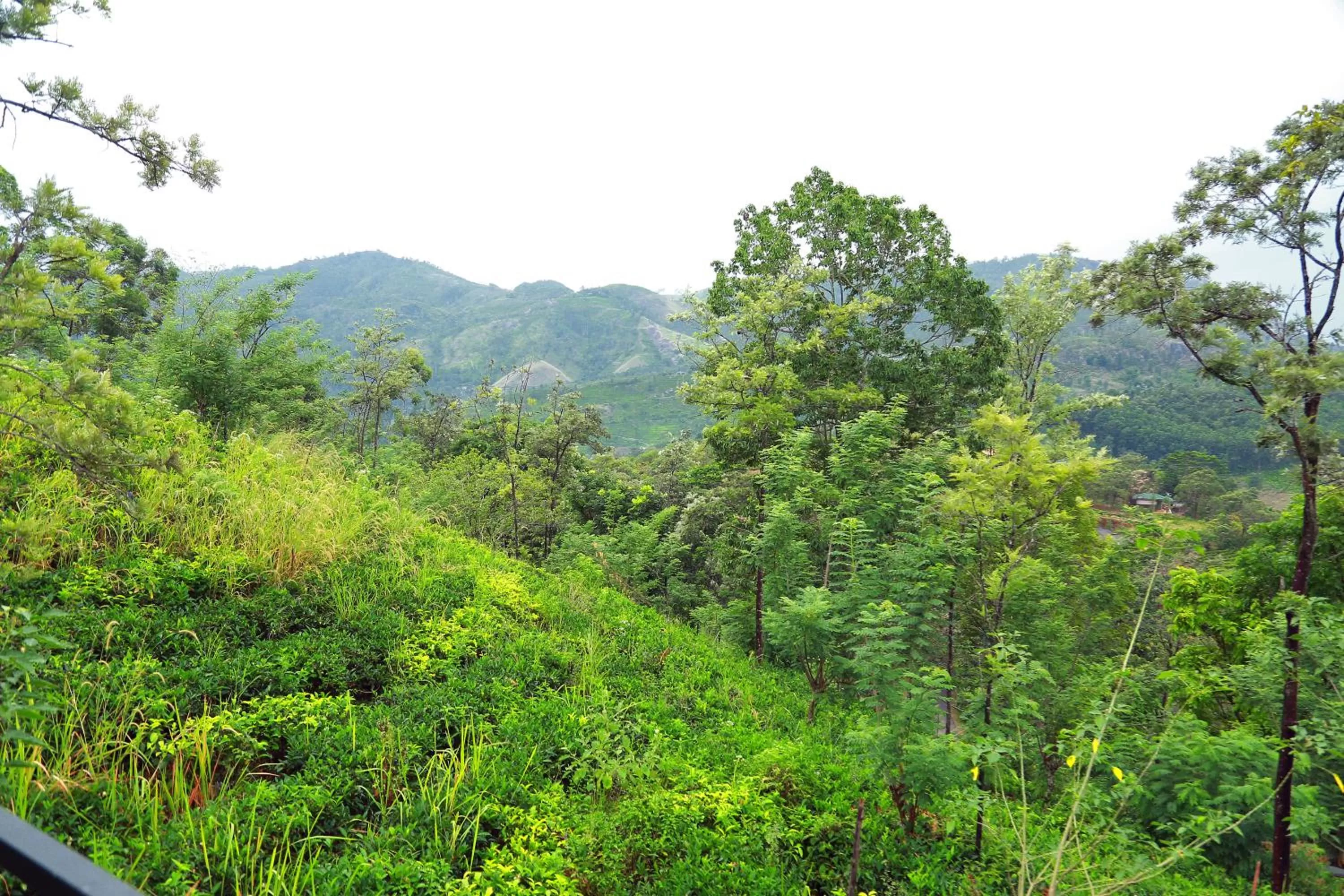 Mountain view in Box on clouds