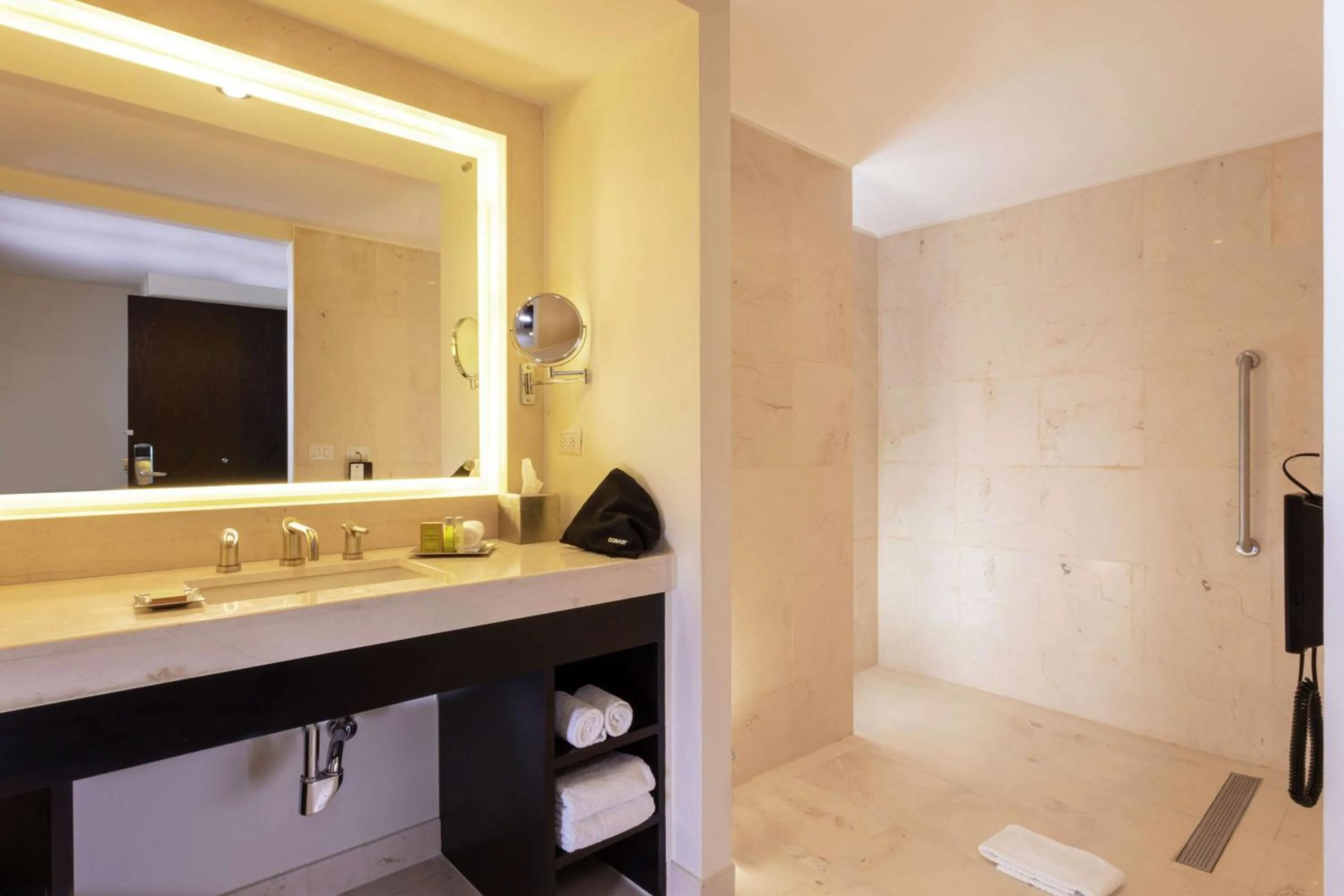 Shower in Doubletree By Hilton Toluca