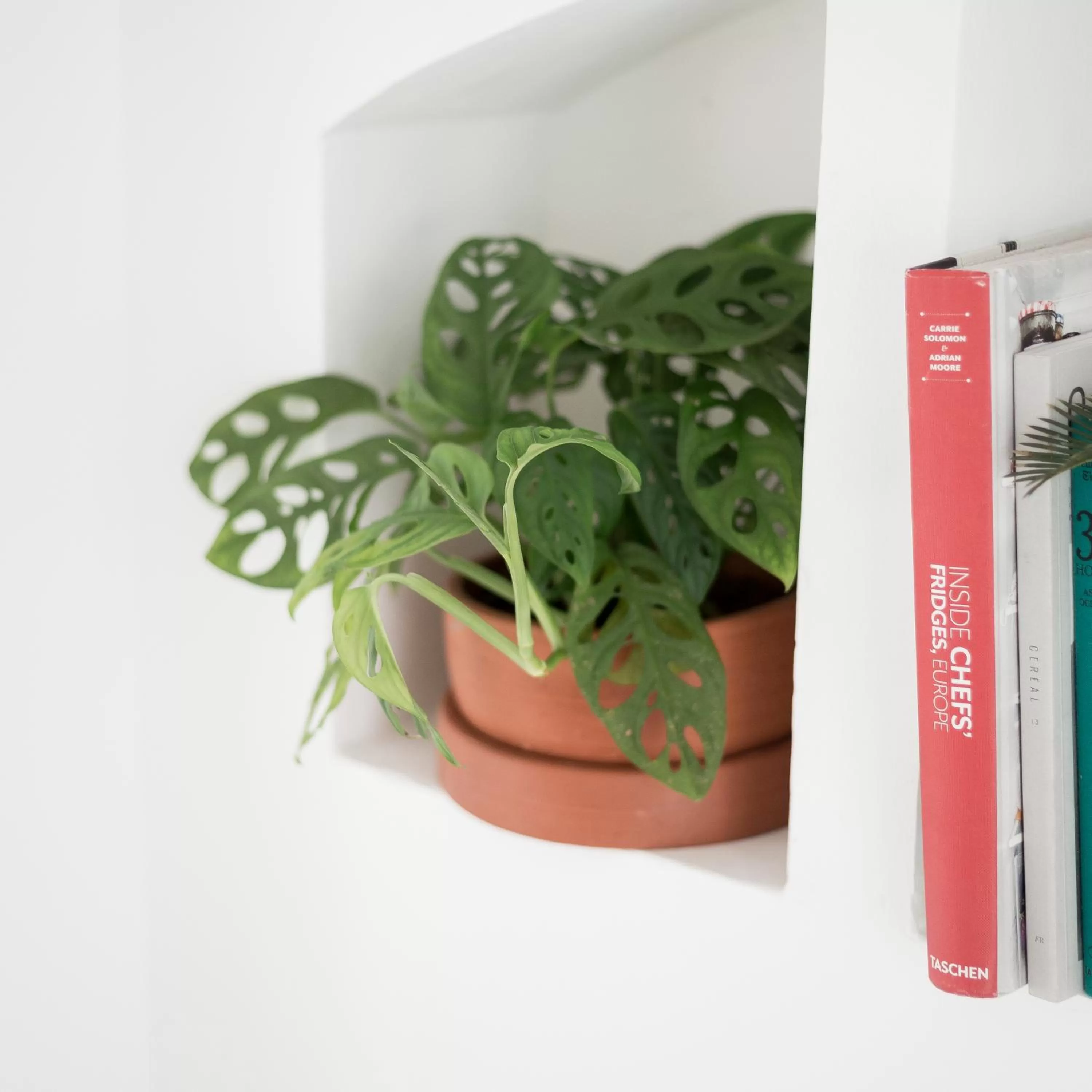 Decorative detail in Srilax