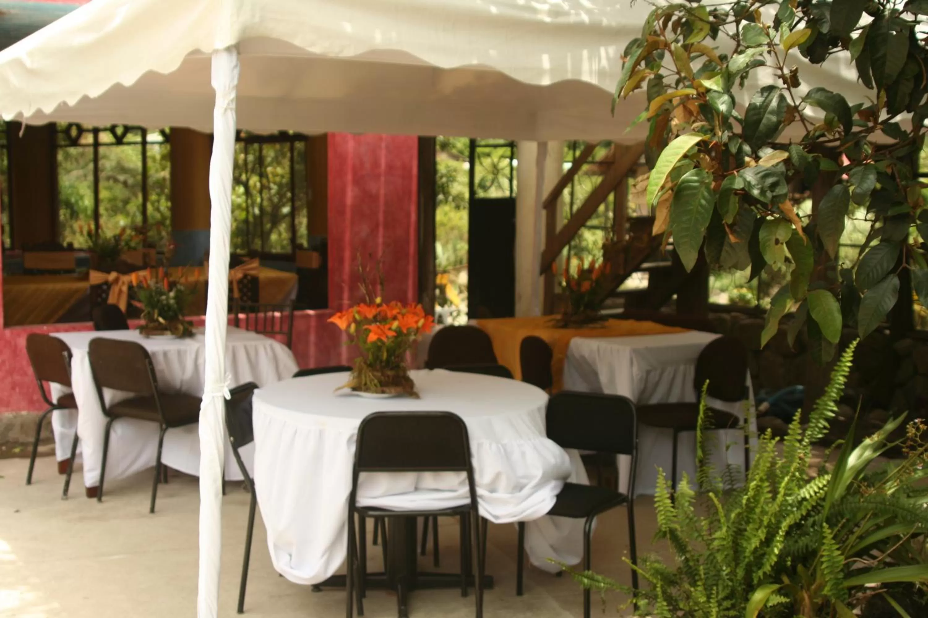 Restaurant/Places to Eat in Spa Hosteria Miramelindo