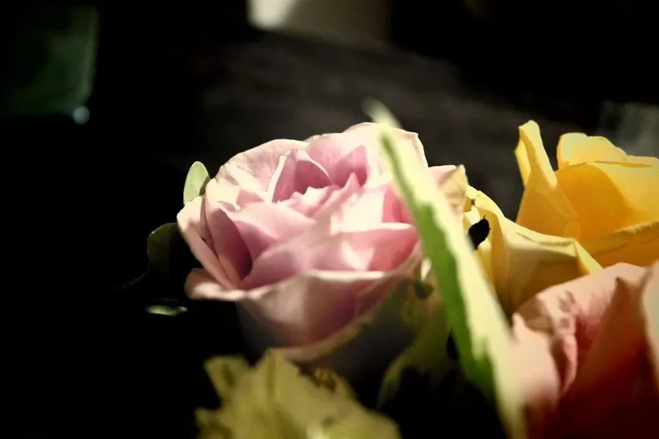 Other in Landhaus Tonmühle