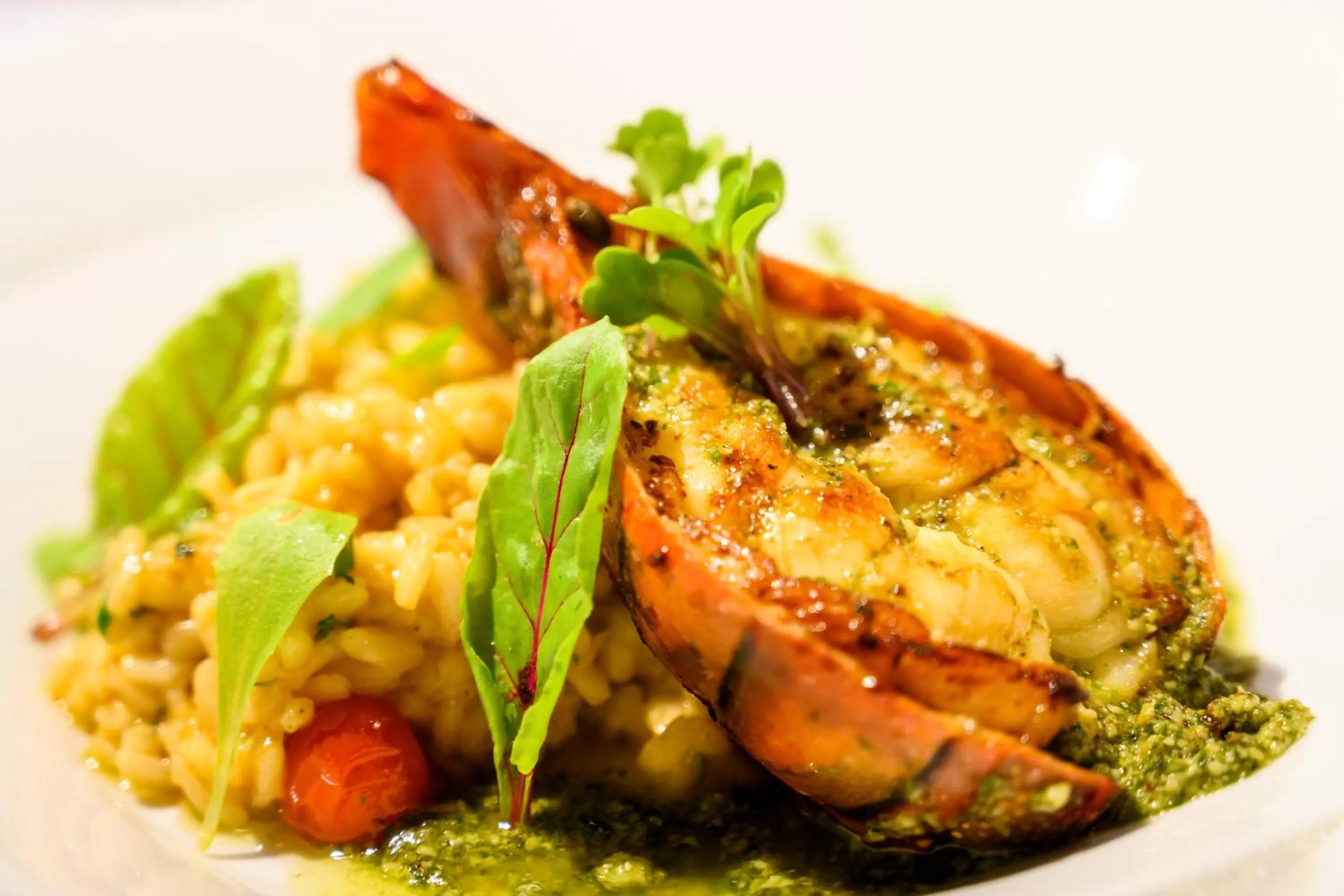 Vogal Luxury Beach Hotel & SPA