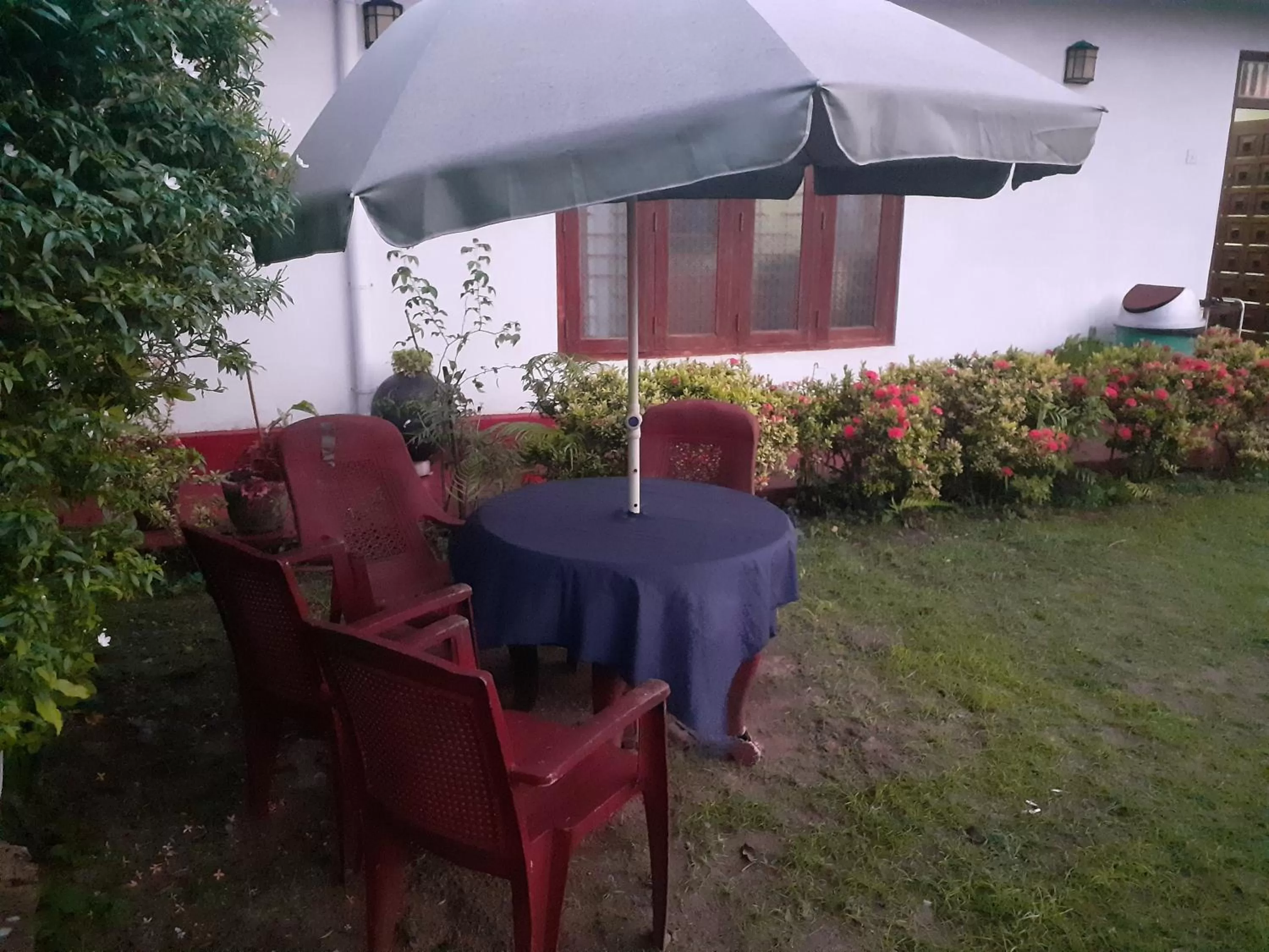 Seating area, Garden in Jumera Villa Mirissa